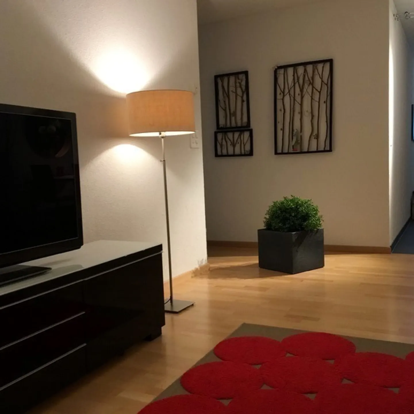 APPARTAMENTO 3½ STANZE A ST. GALLEN - ST. FIDEN/NEUDORF, ARREDATO, TEMPORANEO - Foto 3 di 11