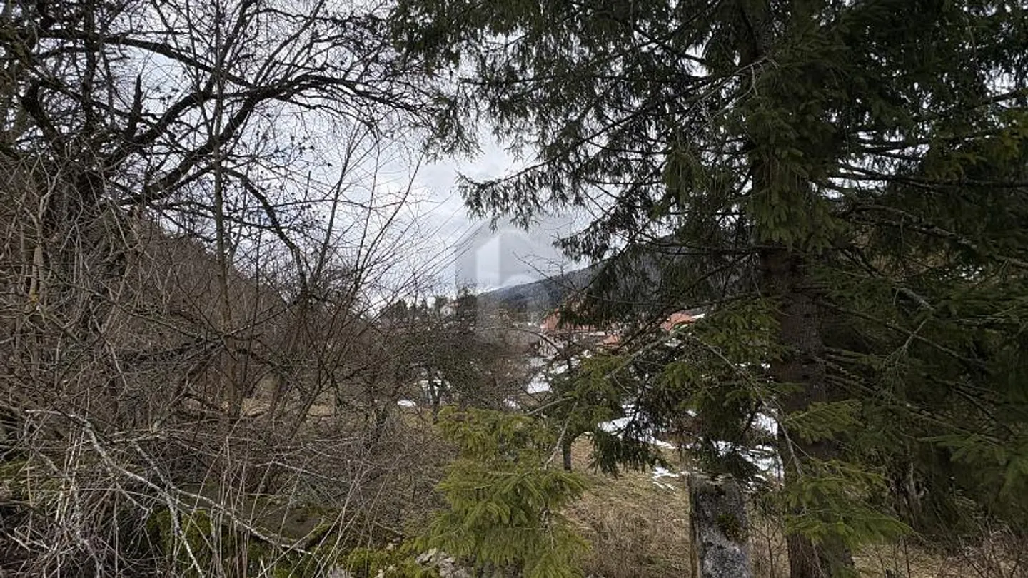 POTENZIAL IM HERZEN VON SONVILIER - Foto 3 von 4