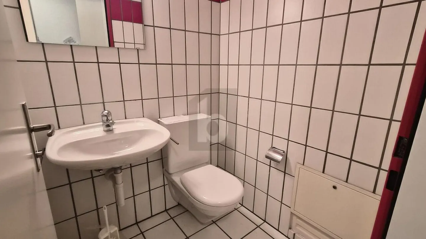 Charmante Wohnung in Urdorf - Foto 5 von 6