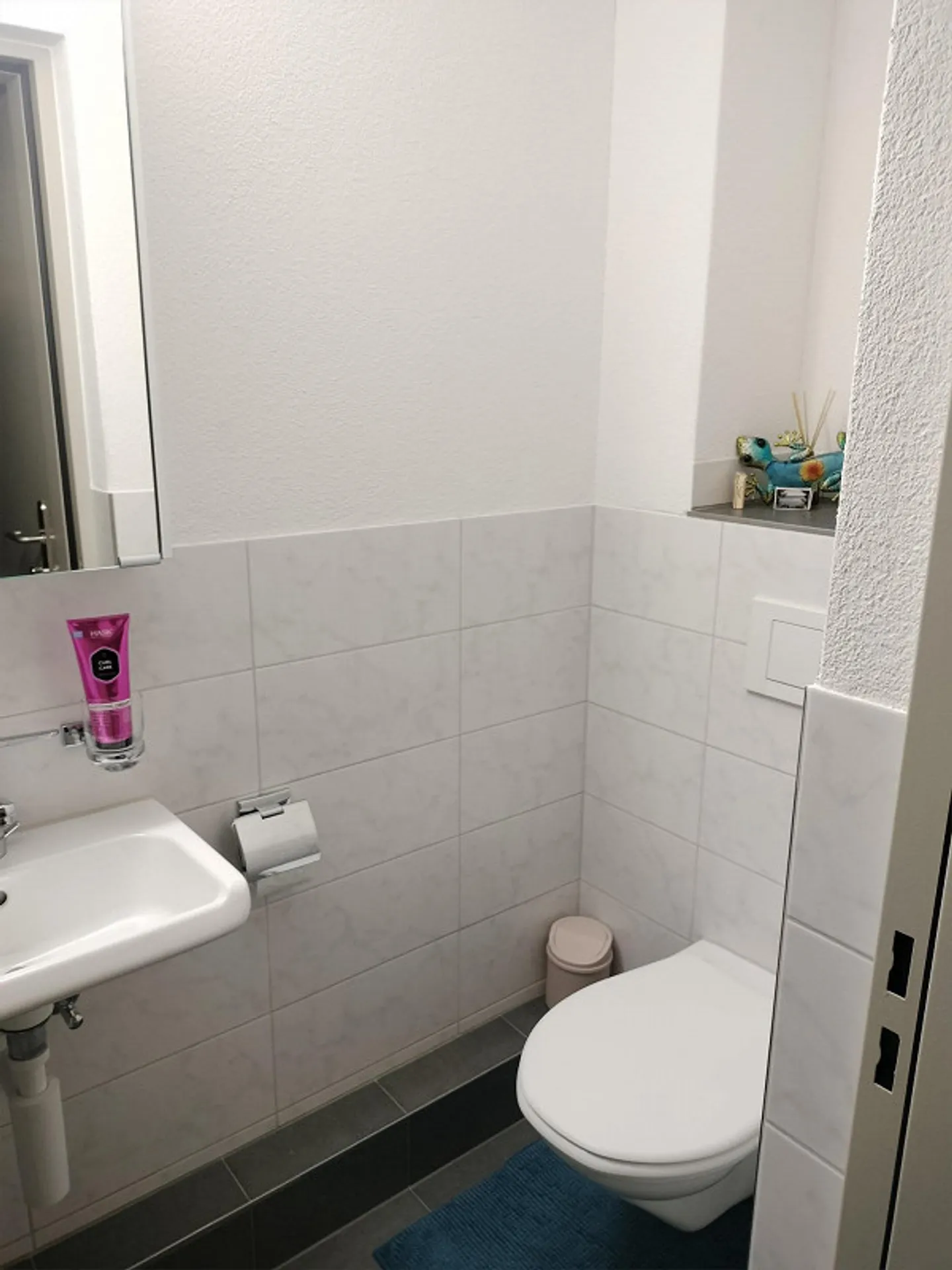 Appartamento 4.5 stanze a Frauenfeld - Foto 9 di 11