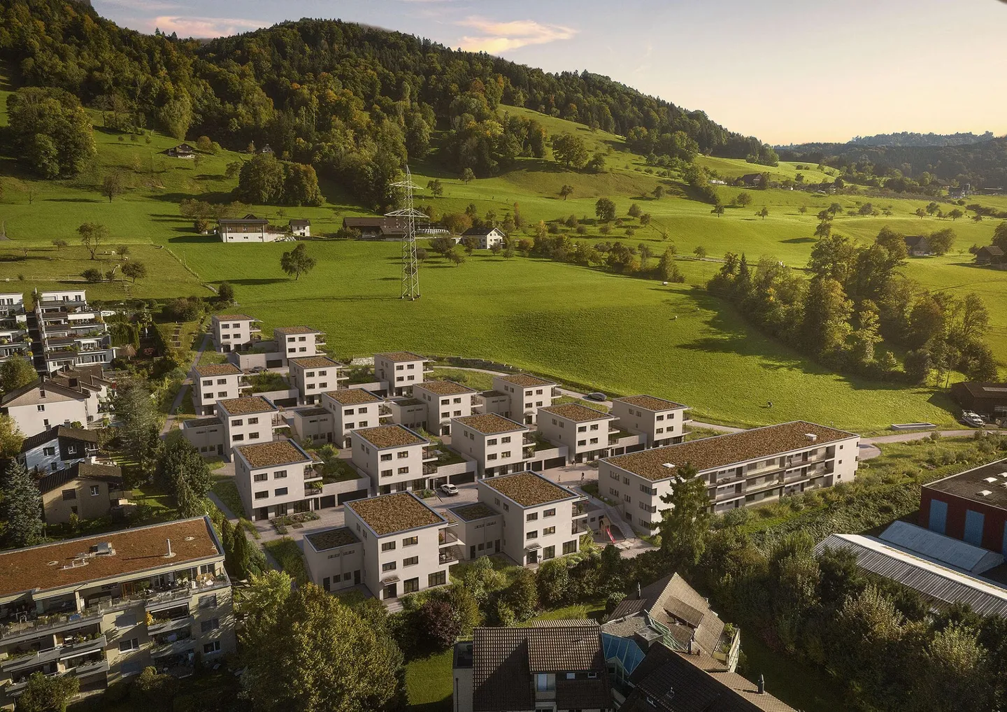 Roots - Foto 8 von 12