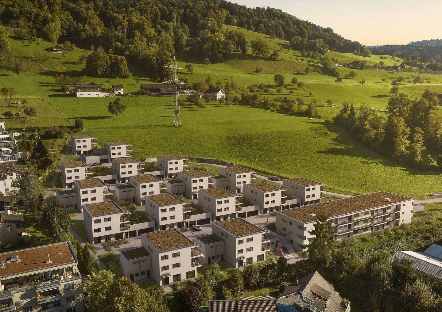 Roots - Foto 11 von 12