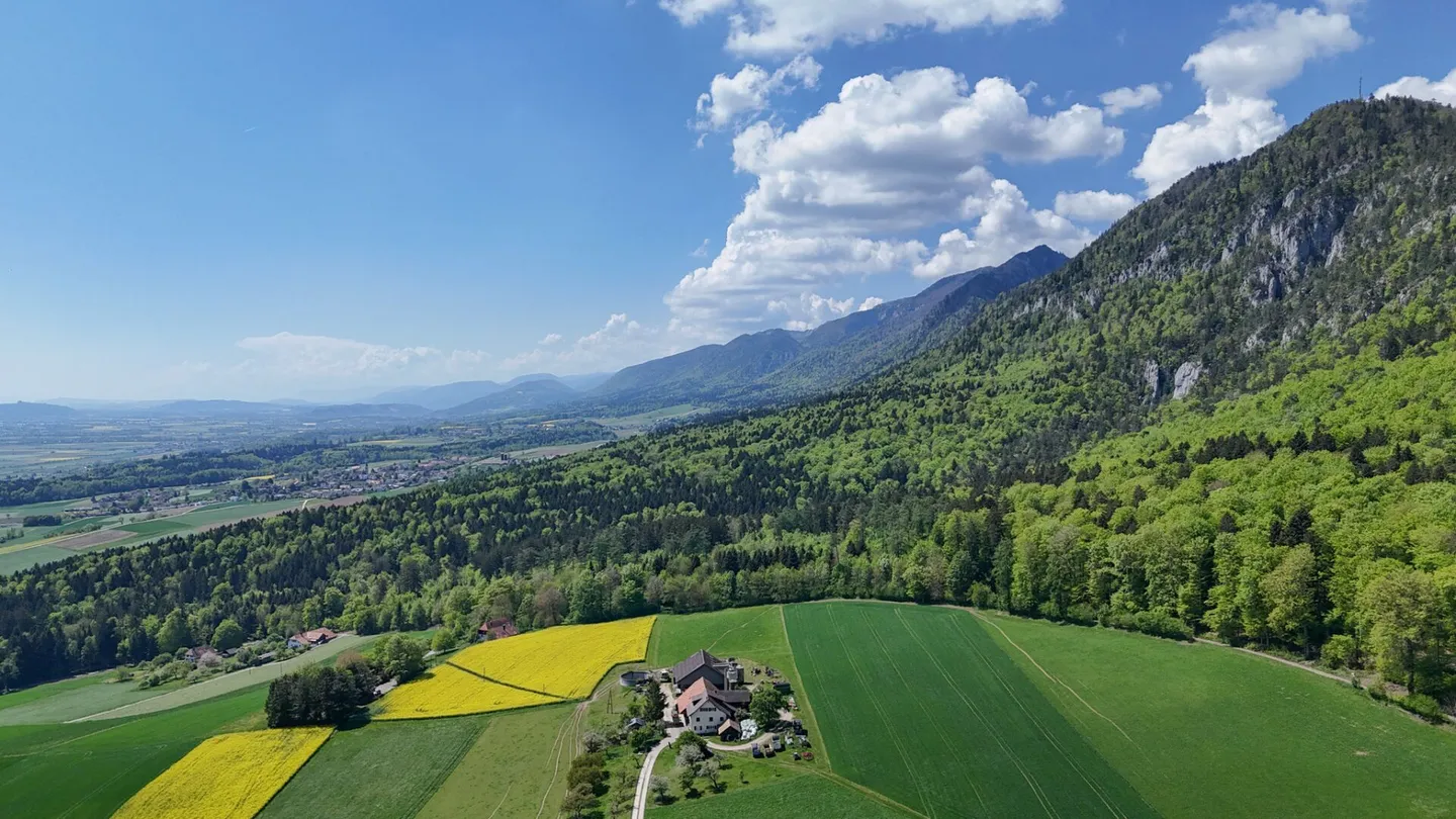 Ferme historique avec confort moderne et vue imprenable sur les Alpes - Photo 2 sur 23