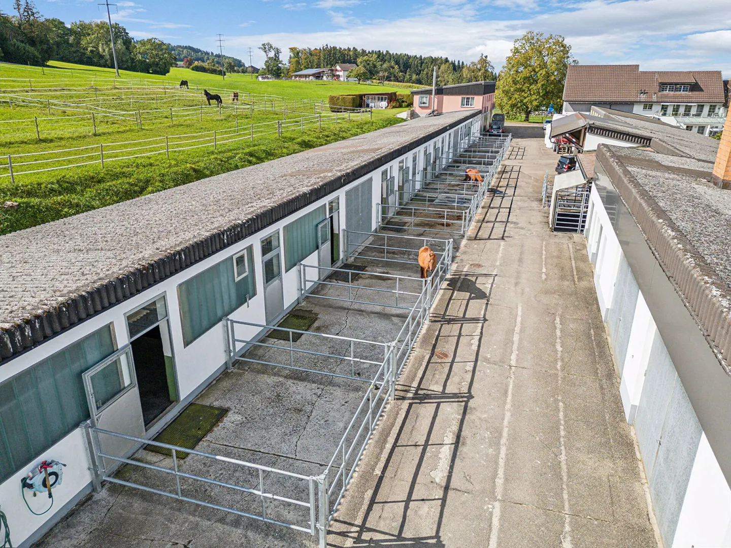 CENTRO EQUESTRE CON INFRASTRUTTURA DIVERSIFICATA E POSSIBILITÀ DI ESPANSIONE - Foto 3 di 18