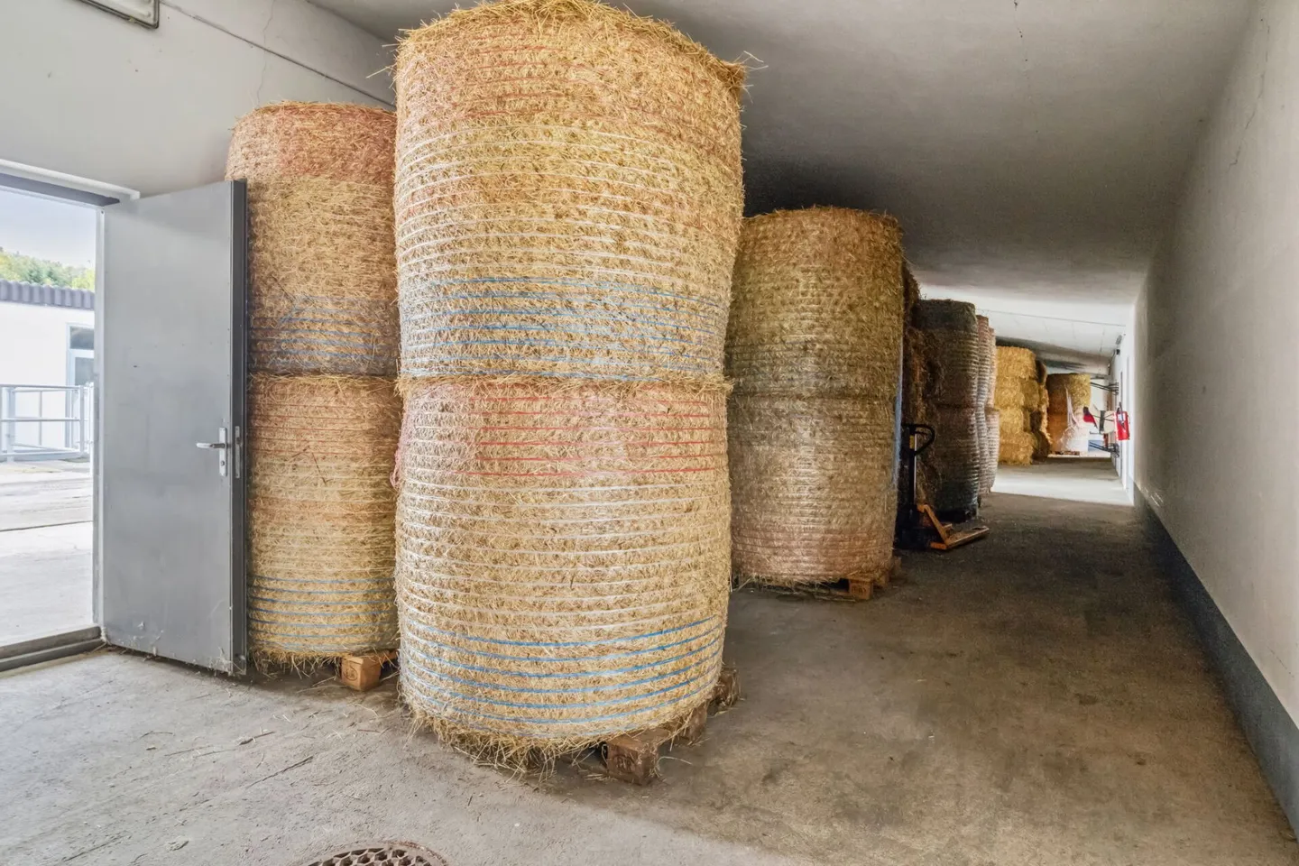 CENTRO EQUESTRE CON INFRASTRUTTURA DIVERSIFICATA E POSSIBILITÀ DI ESPANSIONE - Foto 11 di 18
