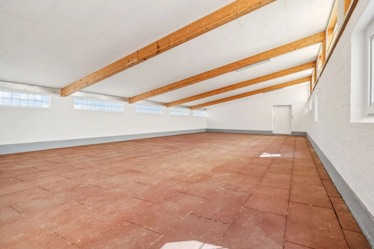 CENTRO EQUESTRE CON INFRASTRUTTURA DIVERSIFICATA E POSSIBILITÀ DI ESPANSIONE - Foto 13 di 18
