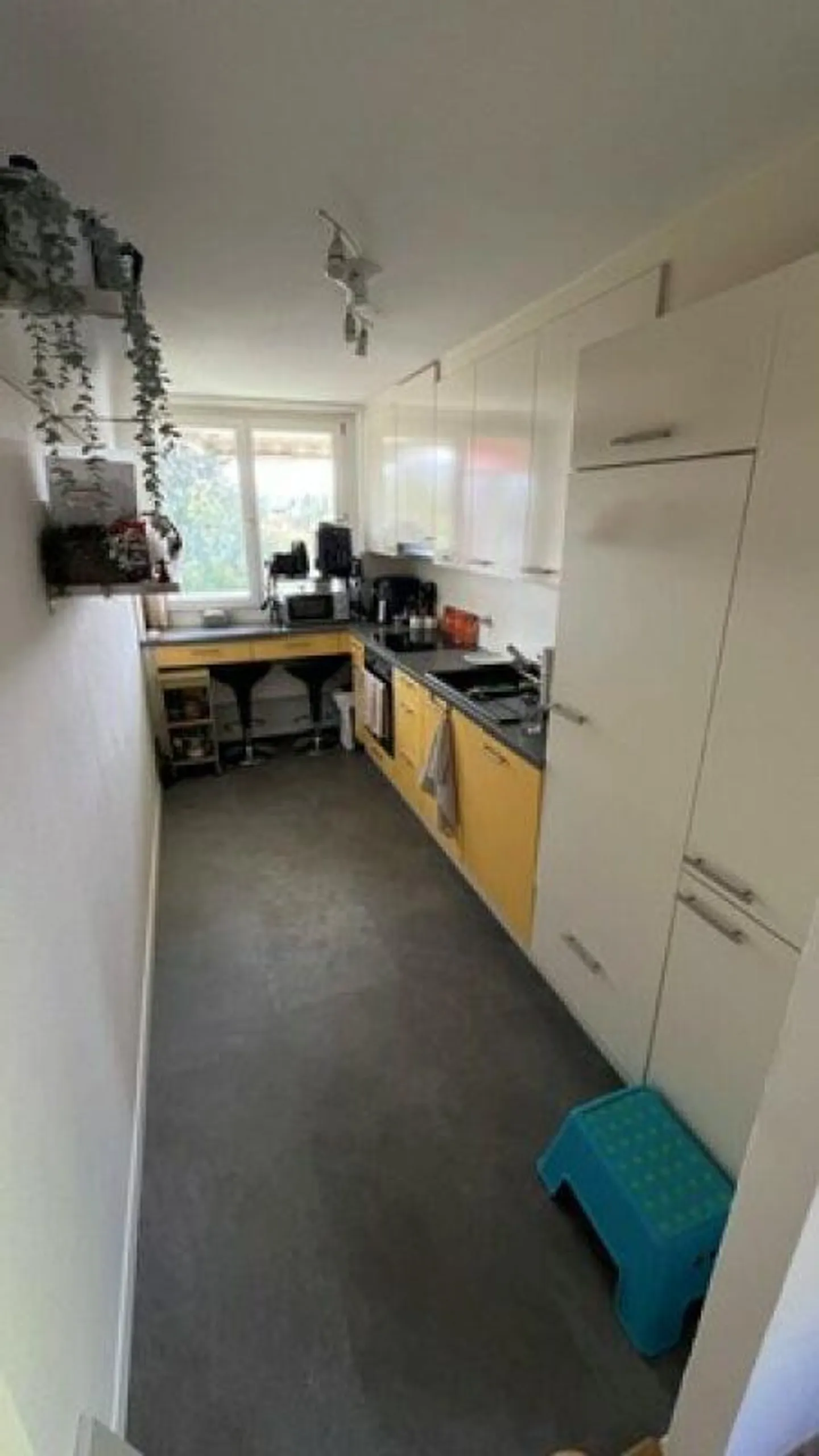 Sehr helle und ruhig gelegene Wohnung in Schaffhausen-Buchthalen. - Photo 2 of 9