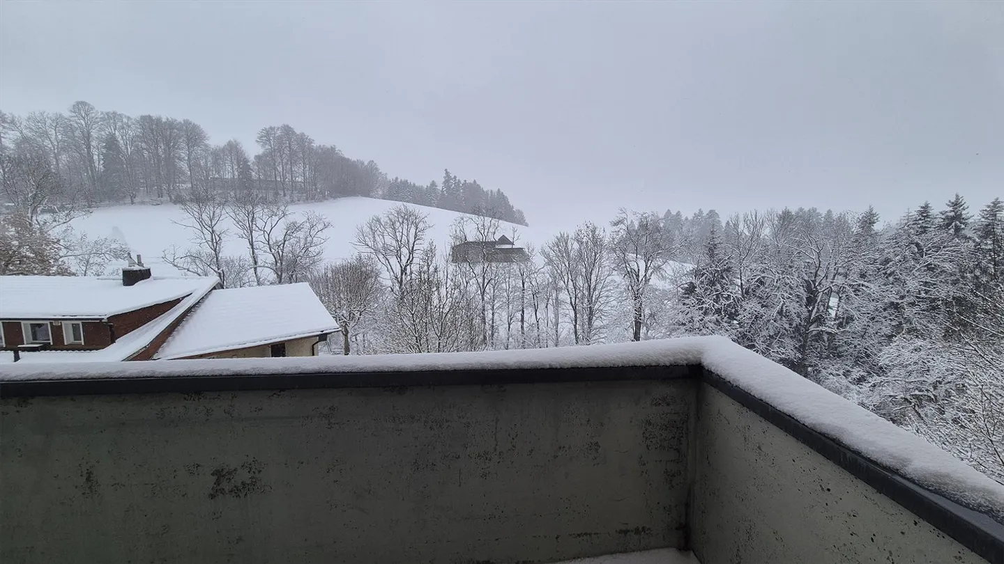 Well-maintained 2.5-room apartment with sunny balcony - Photo 9 of 14