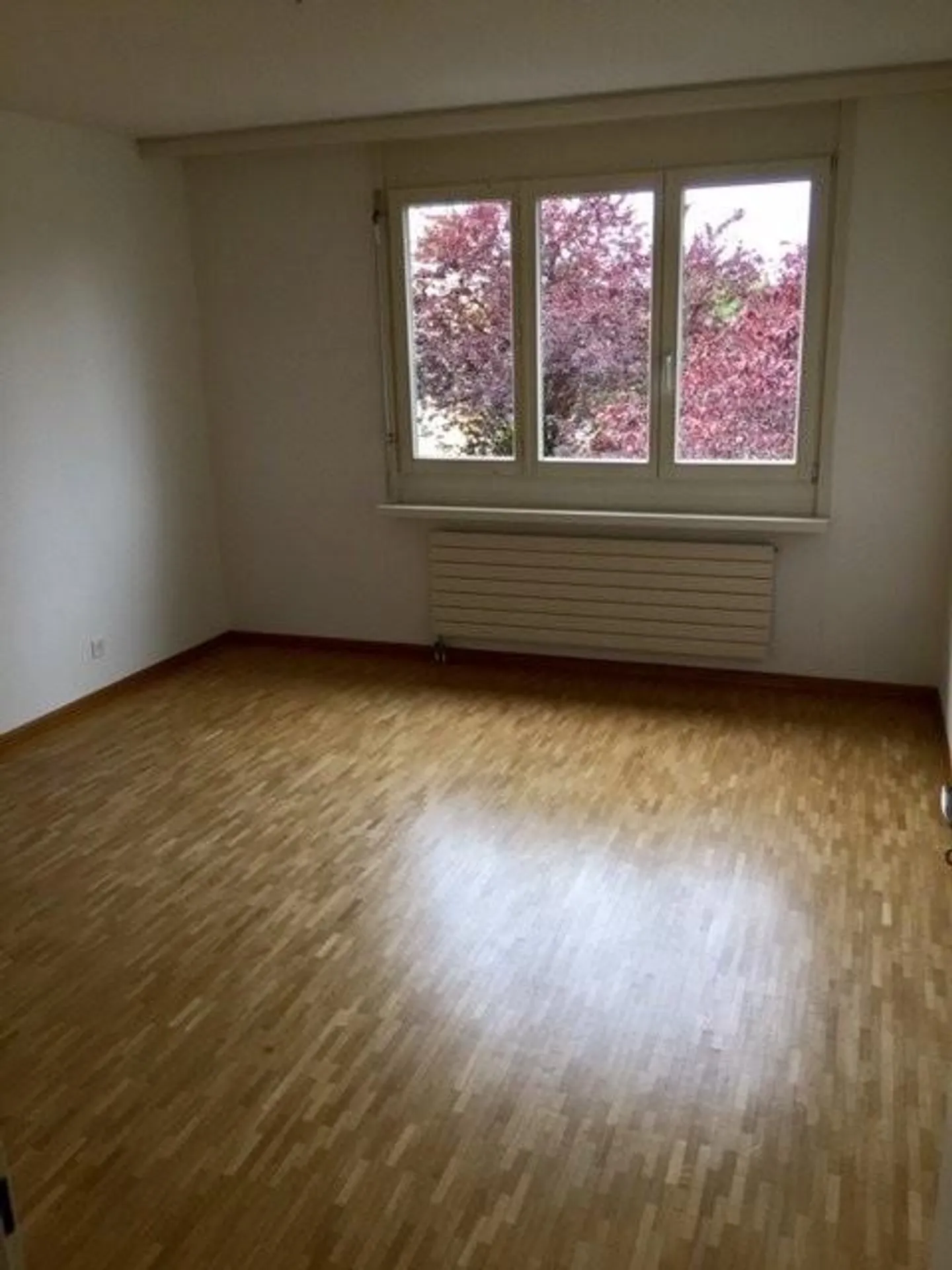 Ici se termine votre recherche d'appartement - Photo 2 sur 6