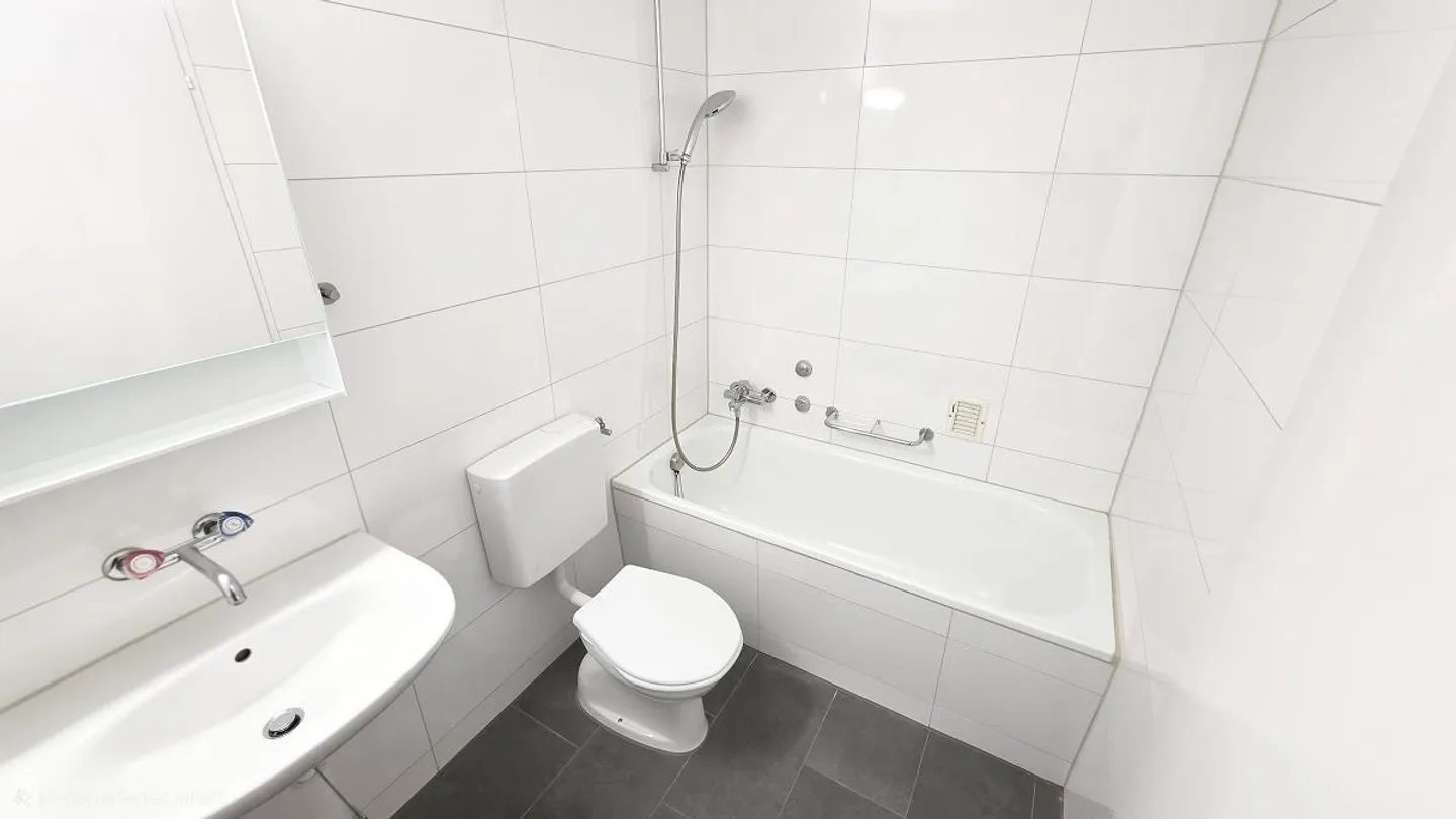 Appartement fraîchement rénové dans un emplacement de rêve - Photo 9 sur 13