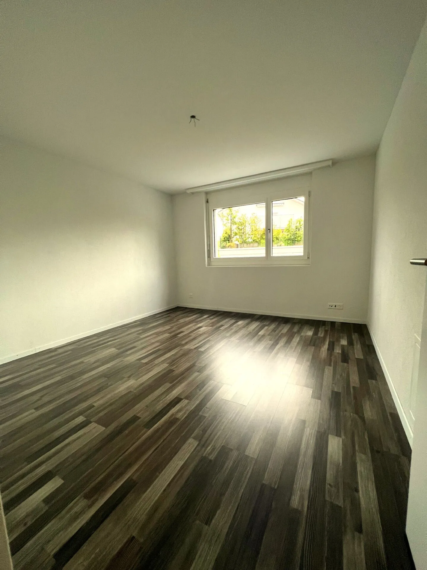 4.5-Zimmerwohnung in Buttikon - Foto 4 von 4