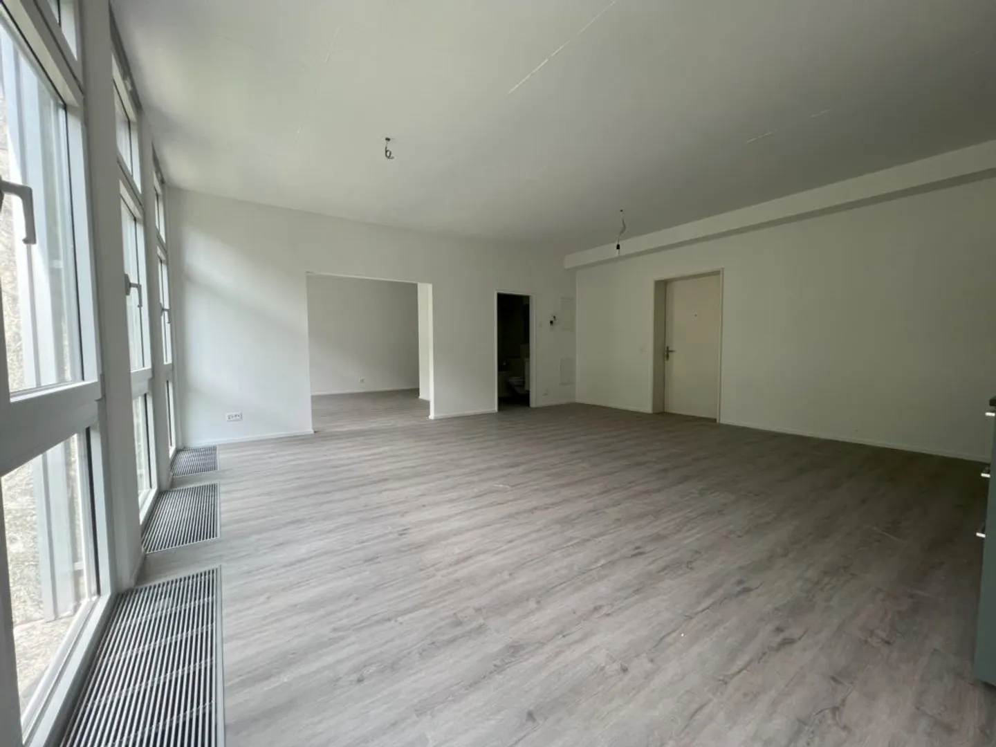 Atelier polyvalent avec vue sur la Sihl et équipements modernes - Photo 2 sur 8