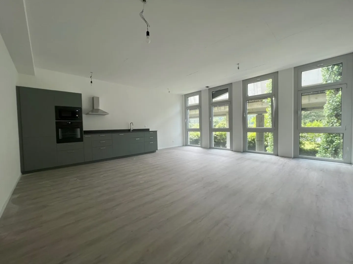 Atelier polyvalent avec vue sur la Sihl et équipements modernes - Photo 3 sur 8