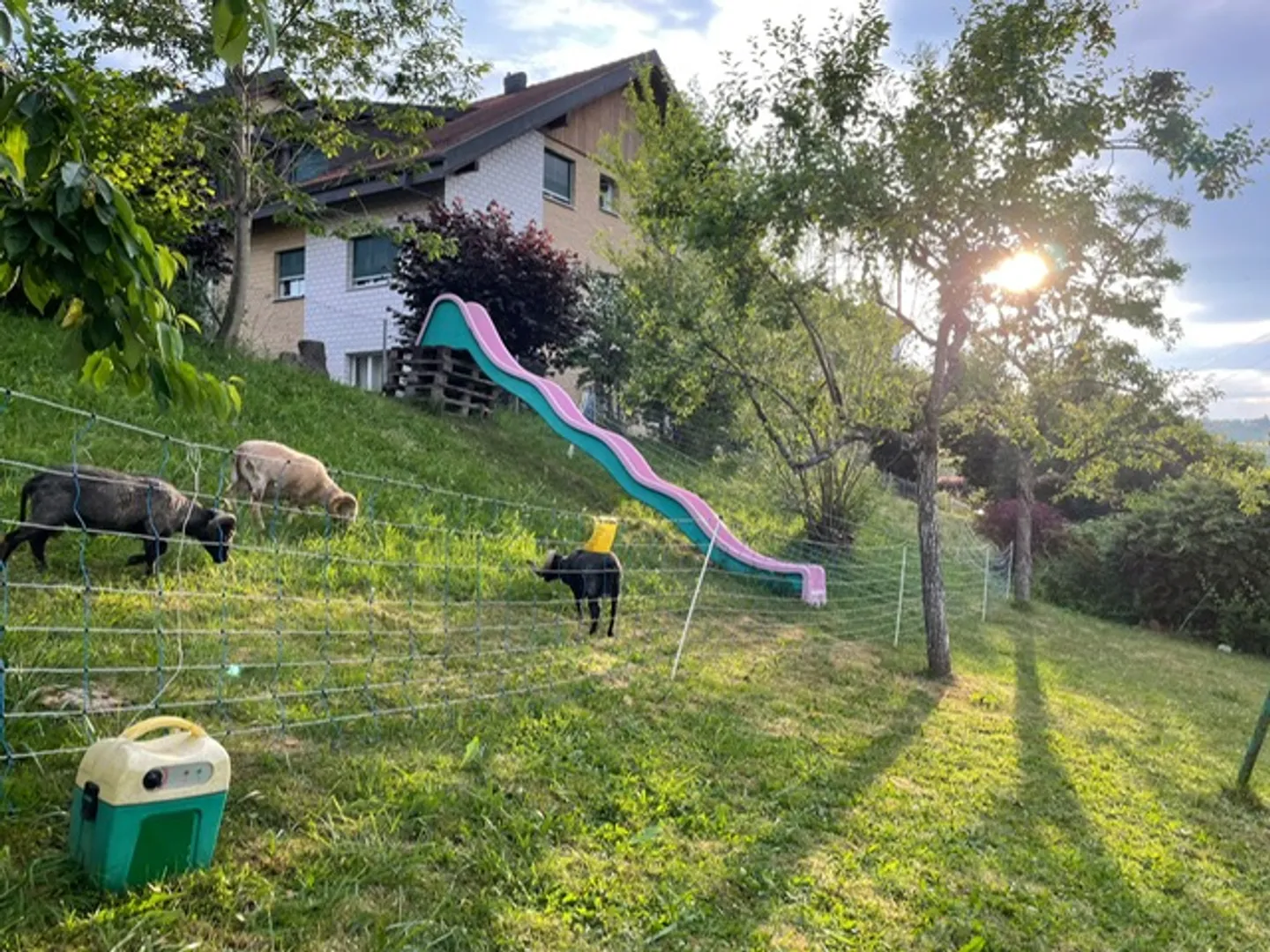 Duplex 6.5 rooms - Photo 5 of 15