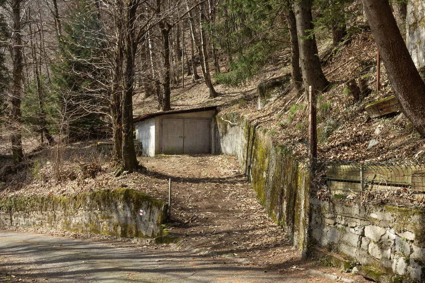 Vivez dans le Silence de la Forêt avec une Vue Époustouflante - Photo 10 sur 11