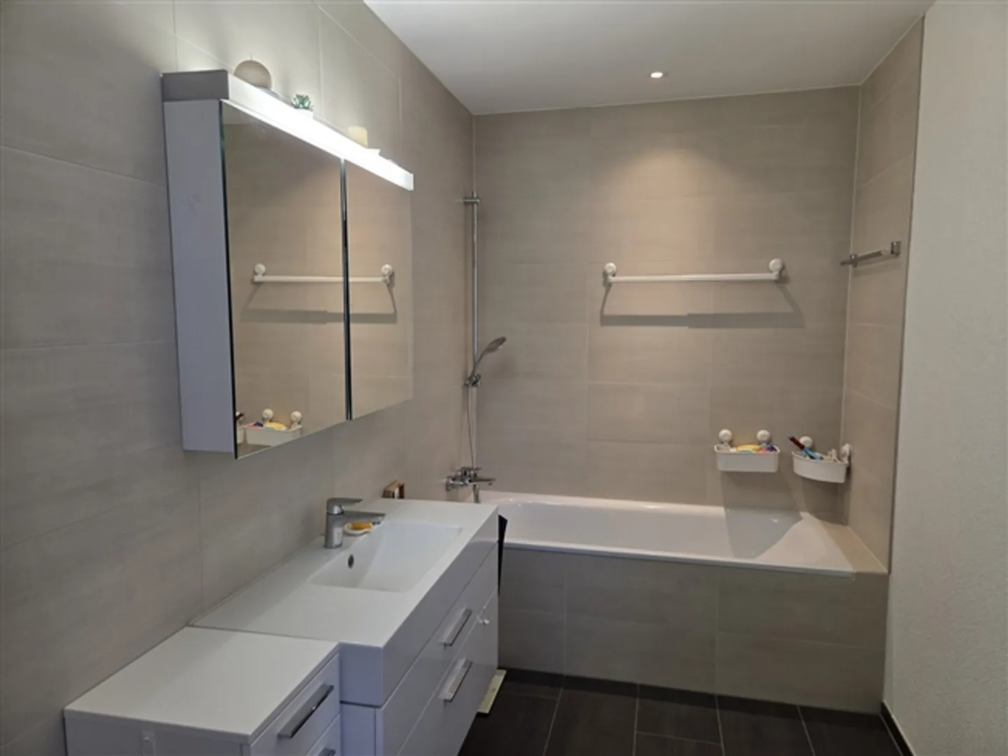 4½ ROOM APARTMENT IN OBFELDEN (ZH), FURNISHED, TEMPORARY - Photo 6 of 9