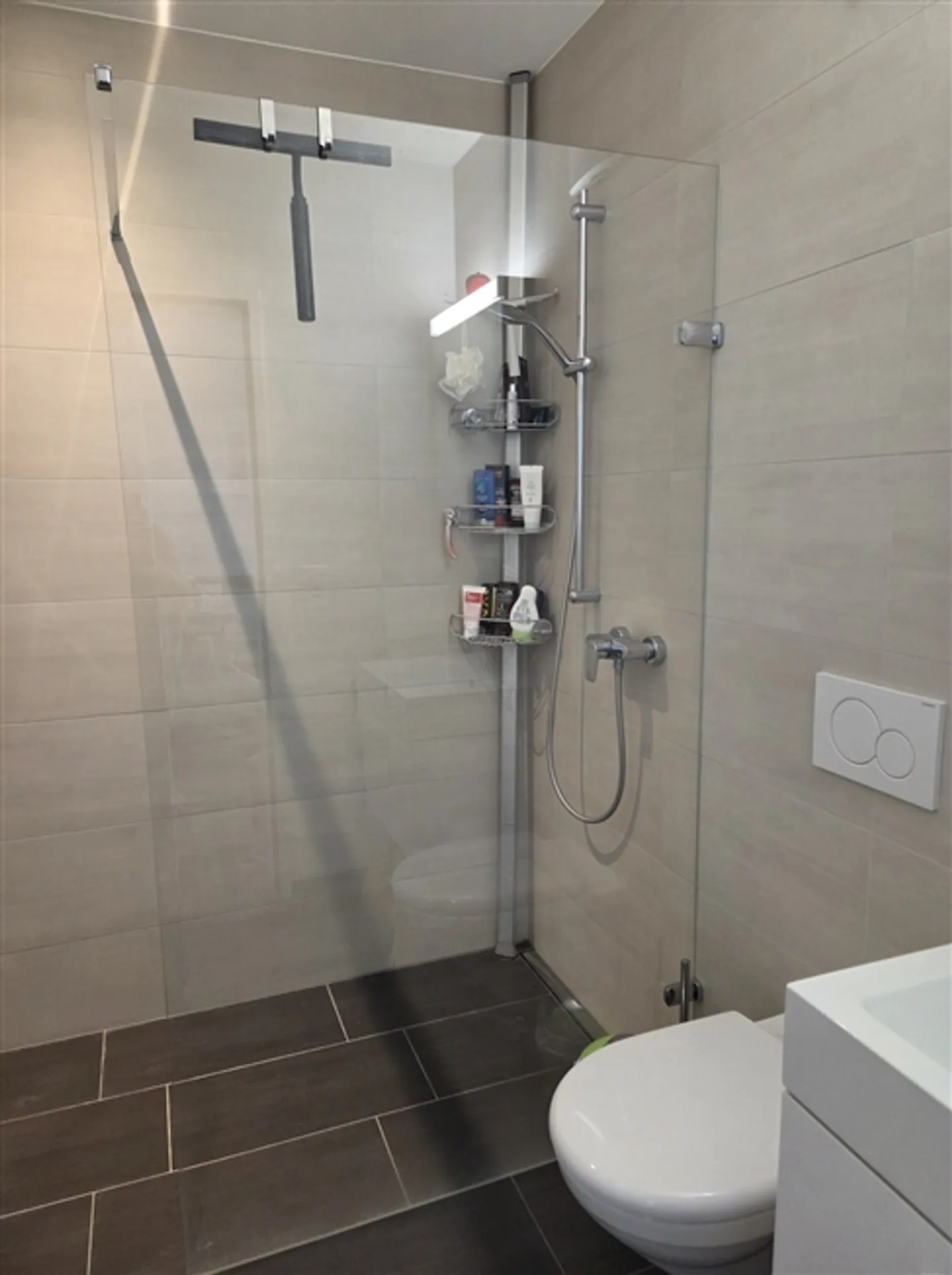 4½ ROOM APARTMENT IN OBFELDEN (ZH), FURNISHED, TEMPORARY - Photo 7 of 9