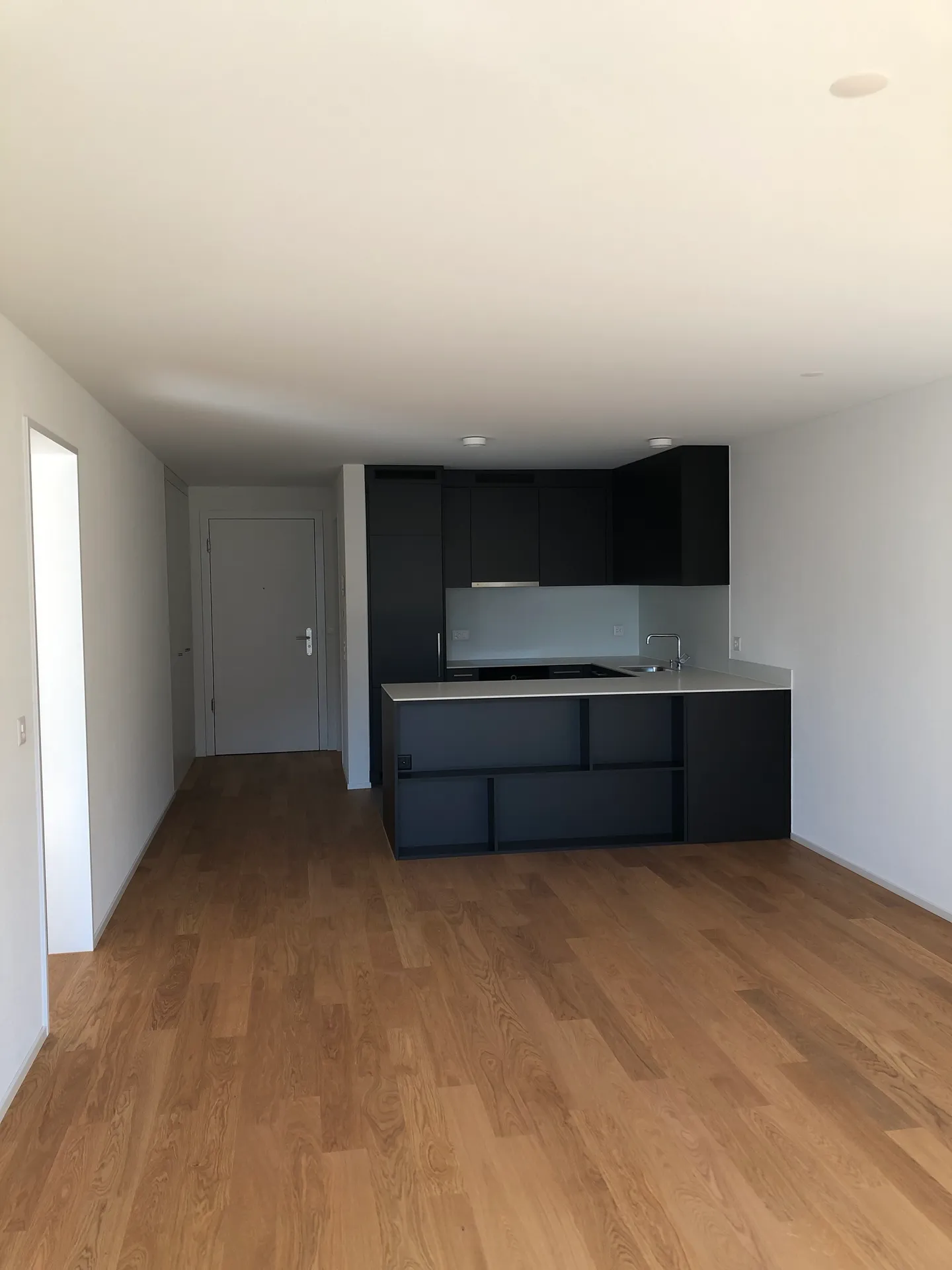 Moderno appartamento di 2,5 stanze in affitto nel quartiere Würzenbach - Foto 2 di 5