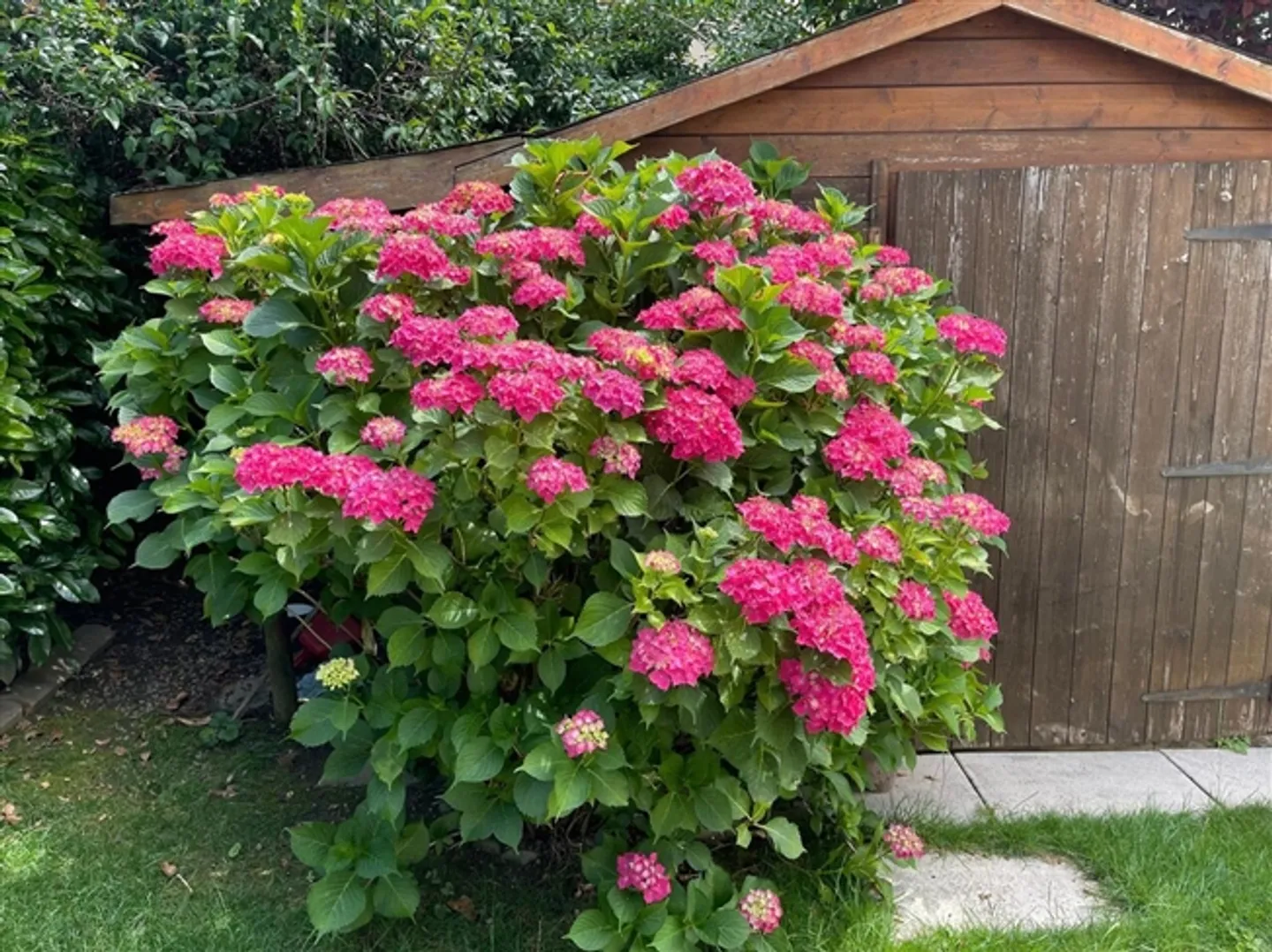 IN VENDITA BELLISSIMA CASA SEMI-INDIPENDENTE SEPARATA DA GARAGE - Foto 18 di 20