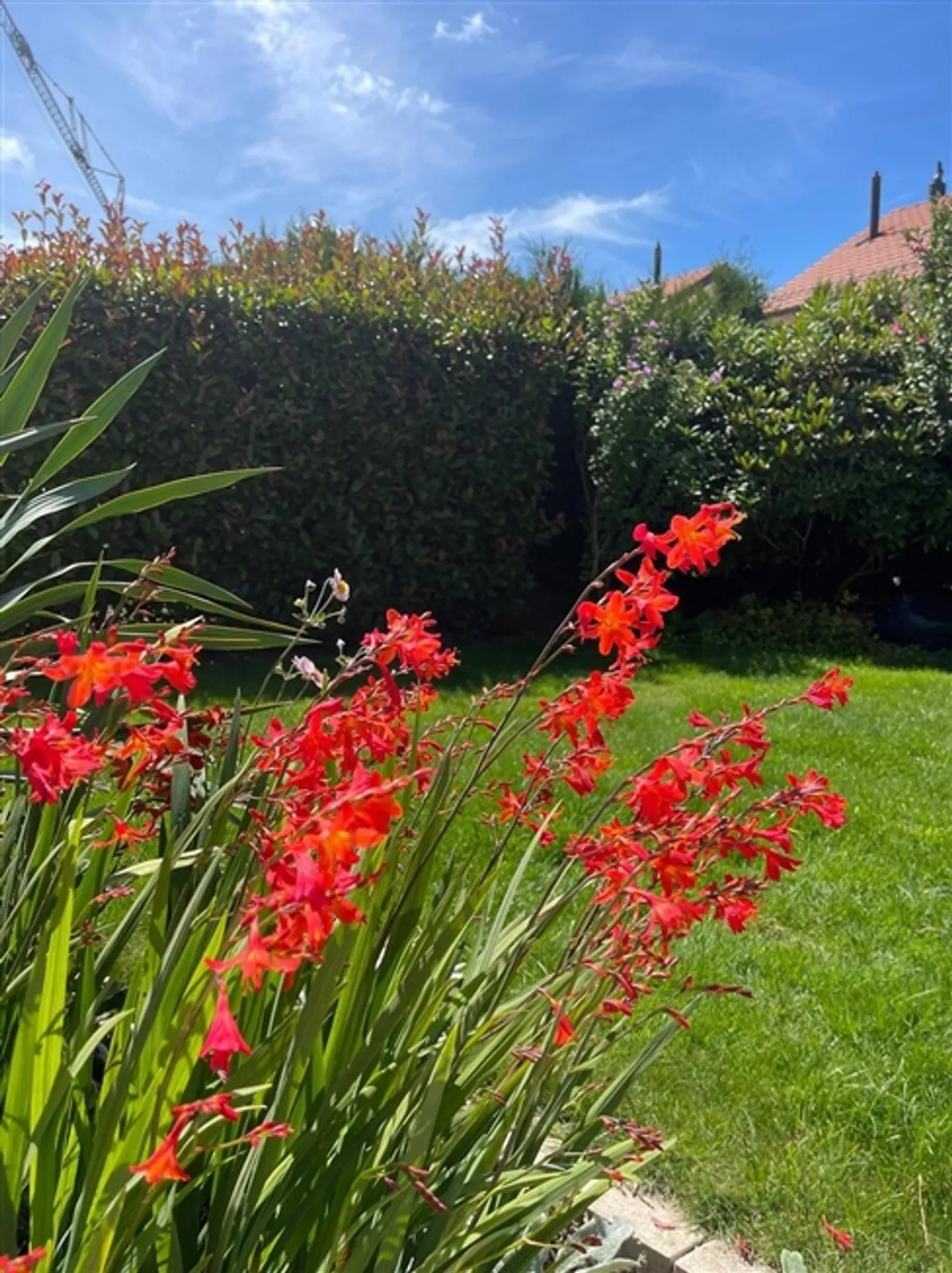 IN VENDITA BELLISSIMA CASA SEMI-INDIPENDENTE SEPARATA DA GARAGE - Foto 20 di 20