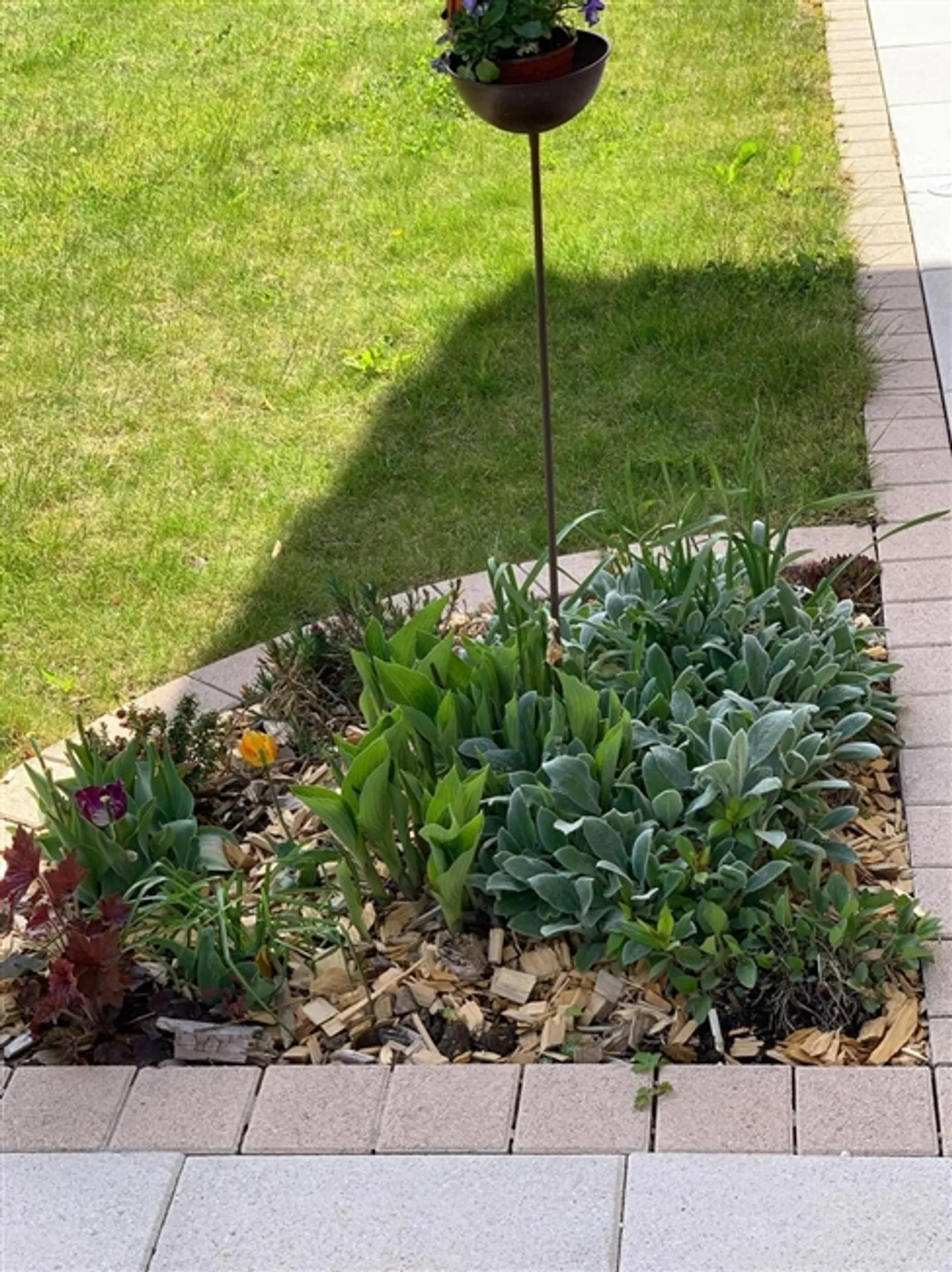 IN VENDITA BELLISSIMA CASA SEMI-INDIPENDENTE SEPARATA DA GARAGE - Foto 19 di 20