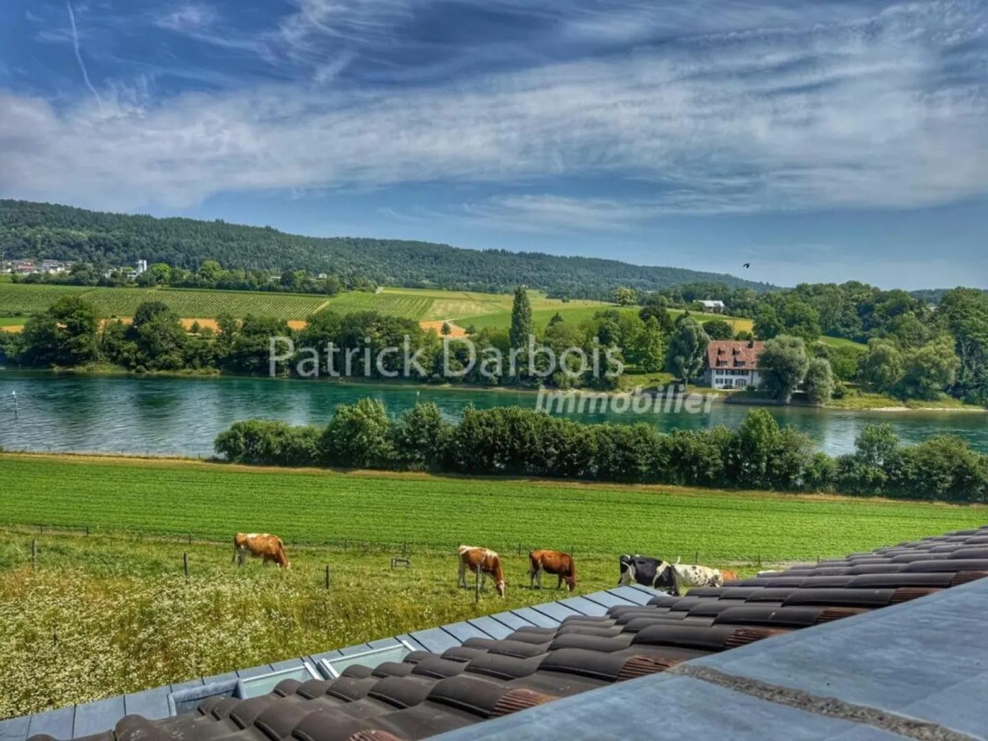 Villa in affitto - Foto 2 di 26