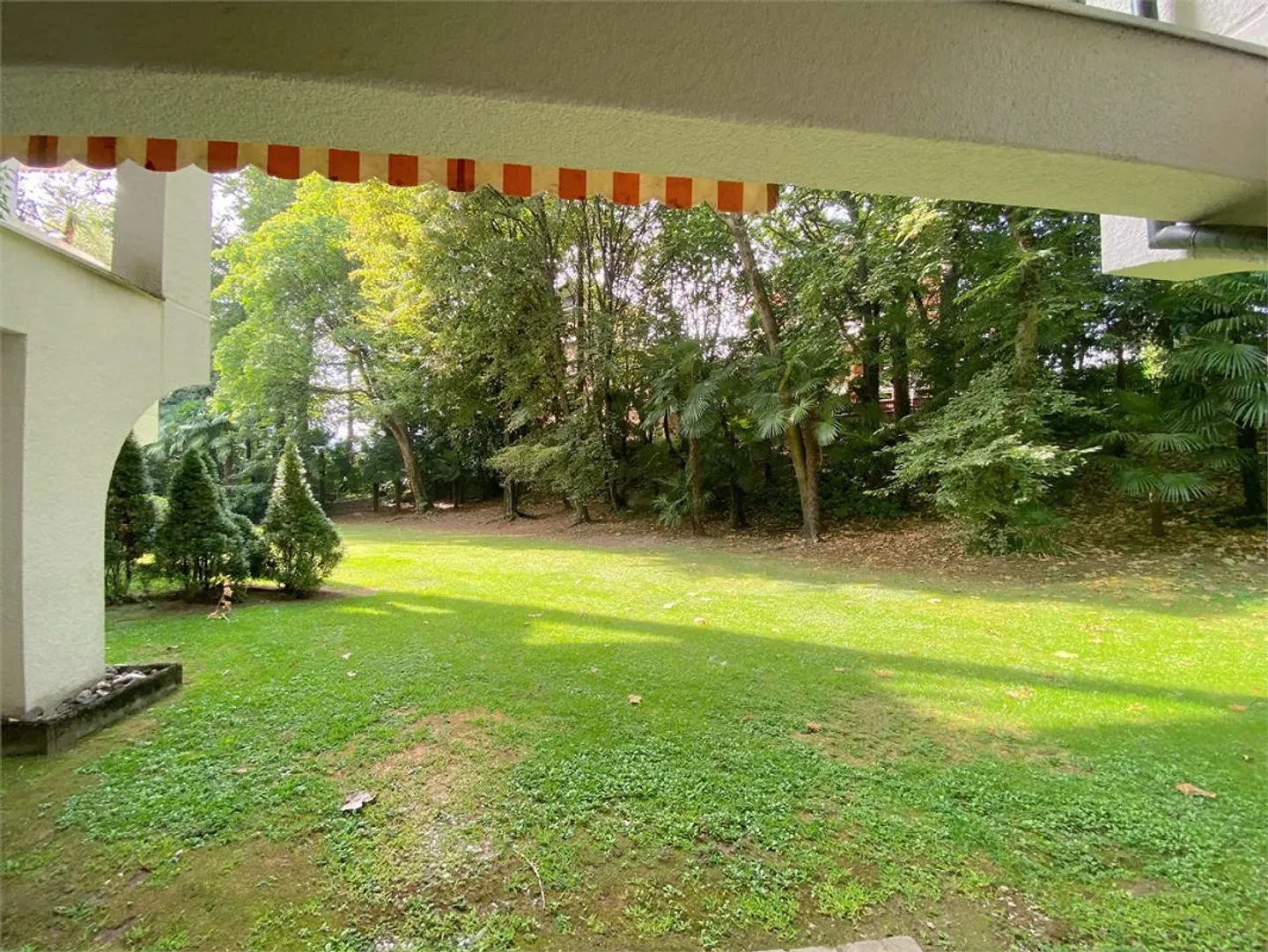 Lugano Parco Maraini - Spazio Aperto da Ristrutturare - Foto 13 di 13