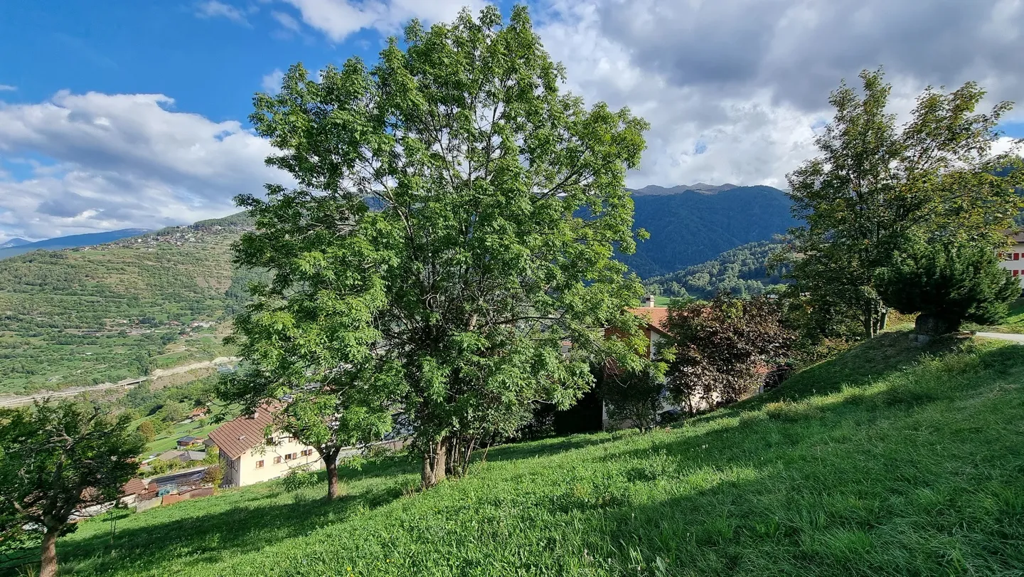 Baumplatz - 956 M2 - Basse-Nendaz - Foto 2 di 3