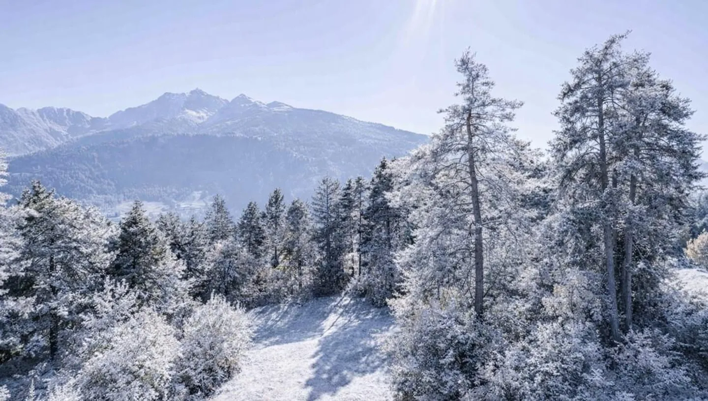 Terrain constructible ensoleillé dans un emplacement calme en bordure de forêt - Photo 3 sur 4