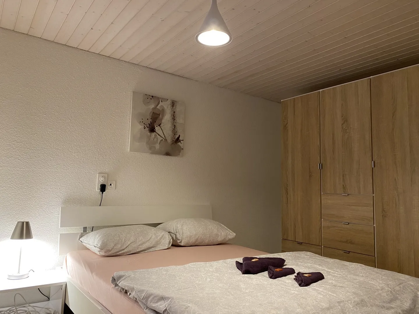 🌟 Bel appartement de 2,5 pièces à Langnau am Albis - Photo 4 sur 12