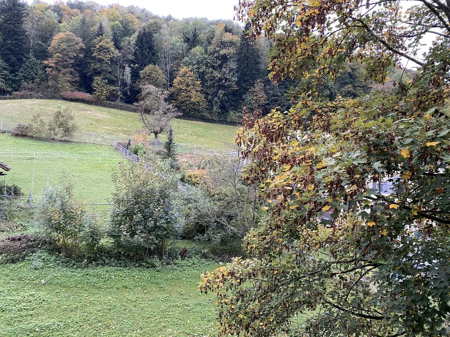 🌟 Bel appartement de 2,5 pièces à Langnau am Albis - Photo 10 sur 12