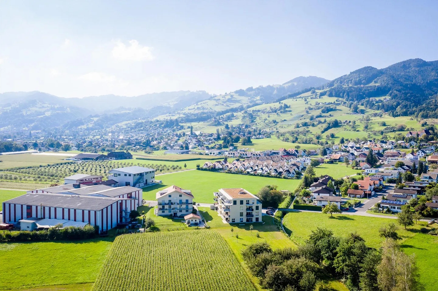 Living with a view of greenery - Photo 2 of 11