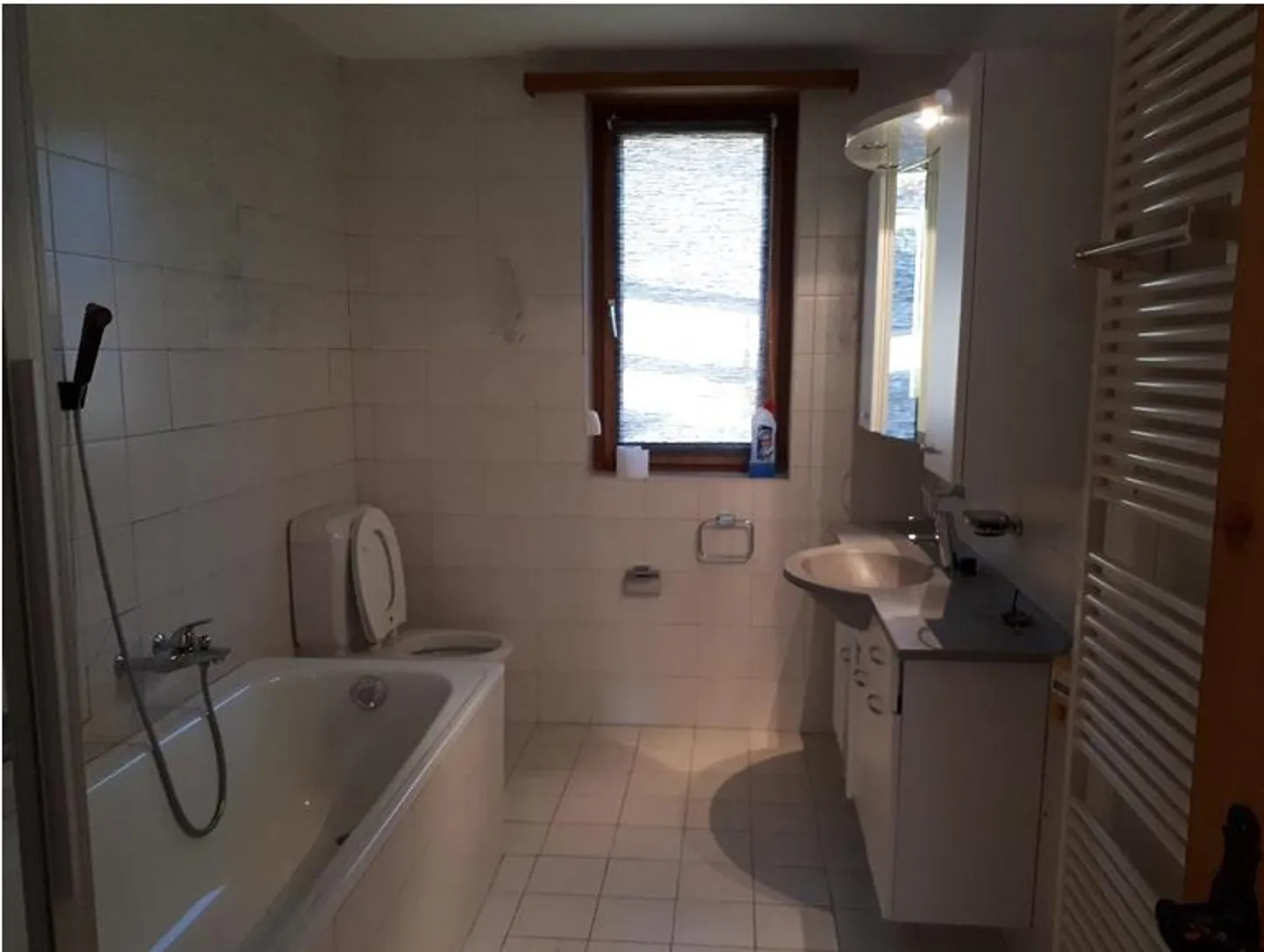 Terrace Apartment (including parking) in Calfreisen - Photo 7 of 8
