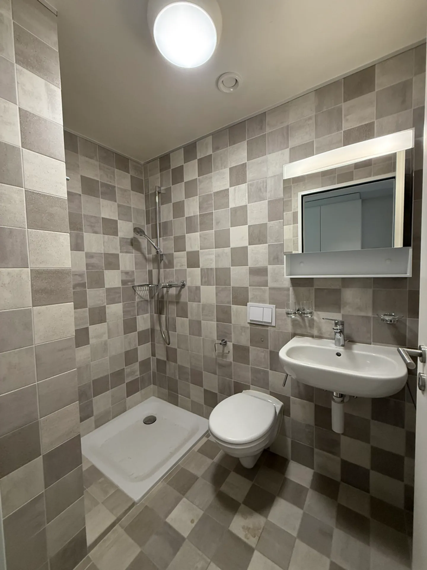 Appartamento 4,5 locali al piano terra - Foto 6 di 12