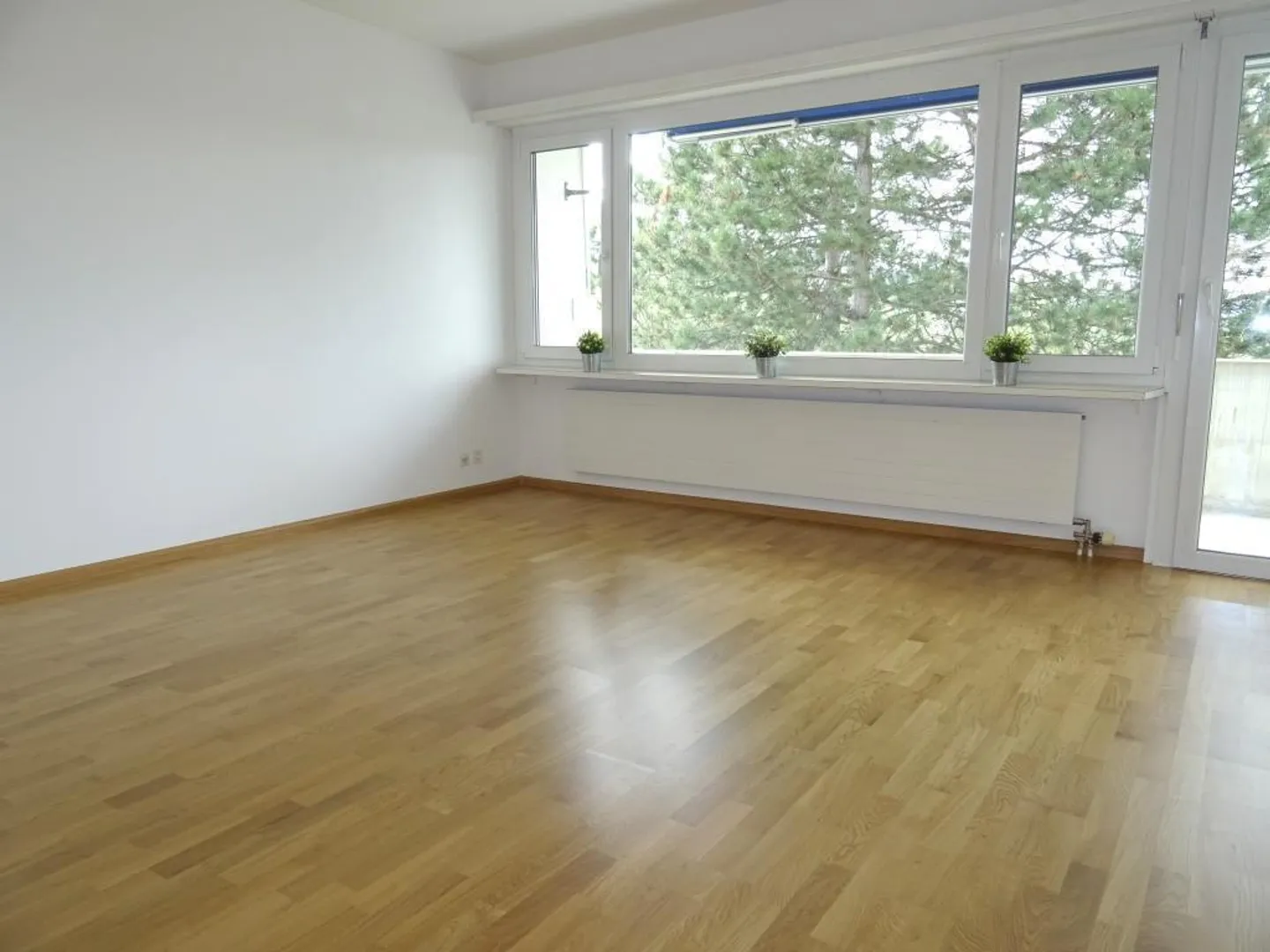 Wohnung an ruhiger und grüner Umgebung - Foto 3 von 7