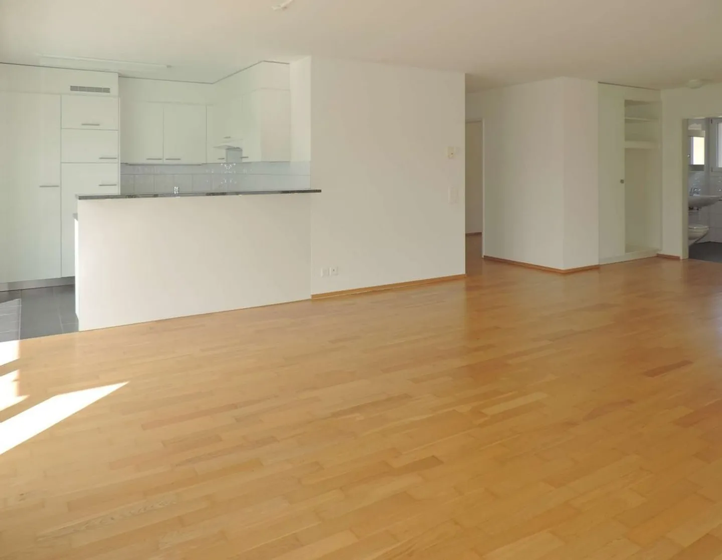 Geräumige Wohnung mit riesiger Terrasse - Foto 6 von 8