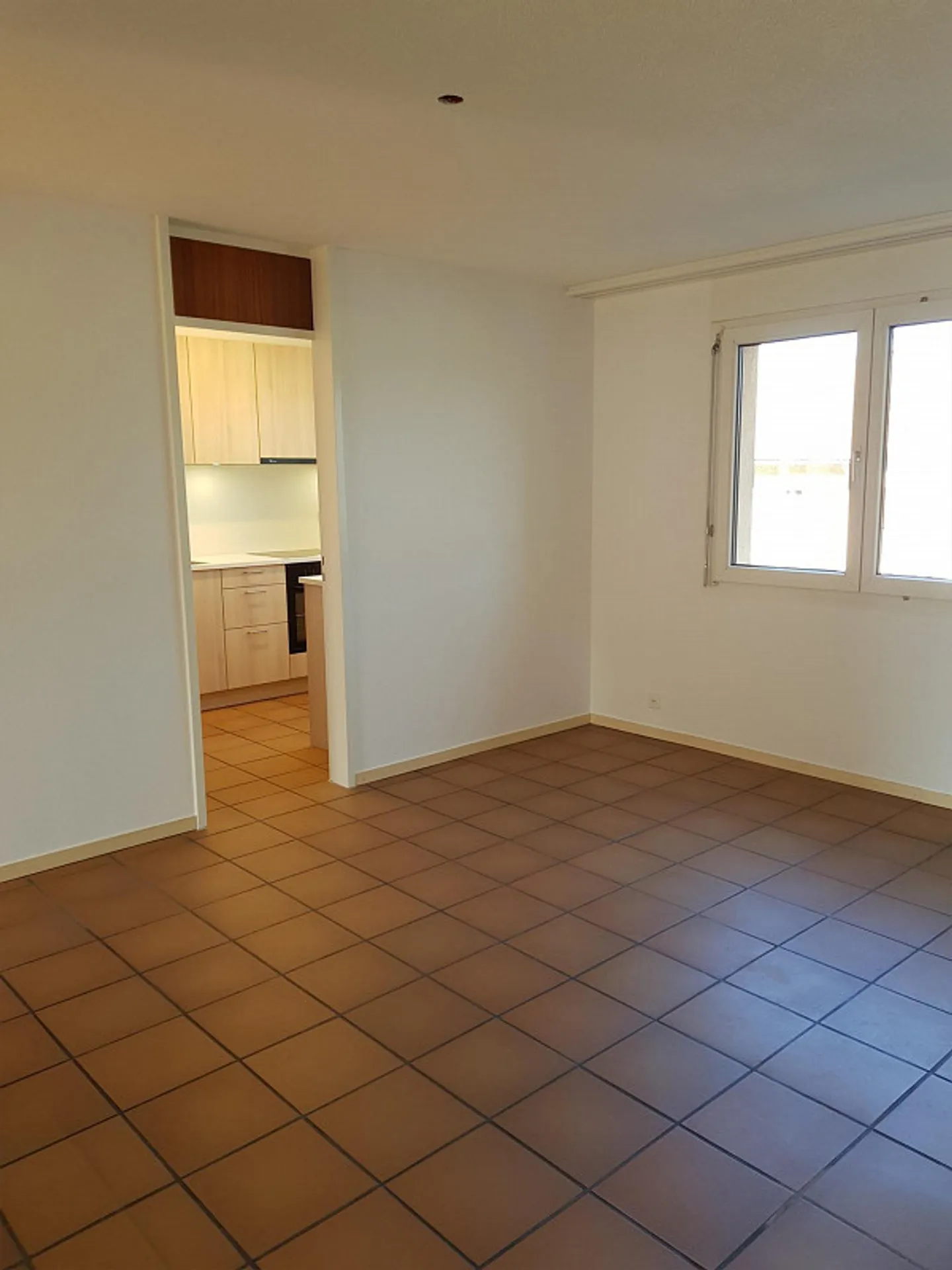 Large, renovated 4 1/2 room apartment on the 1st floor - Photo 4 of 11