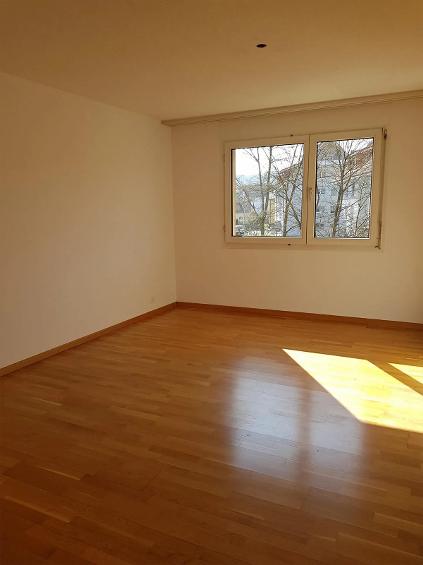 Large, renovated 4 1/2 room apartment on the 1st floor - Photo 11 of 11