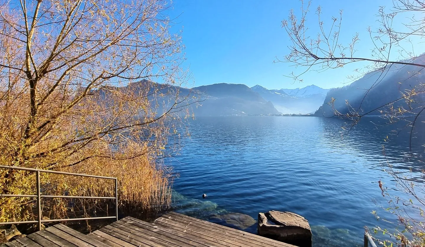LIGHT, VIEW AND QUALITY OF LIFE – LIVING ON THE SUNNY SIDE WITH TAX ADVANTAGE ***** - Photo 12 of 13