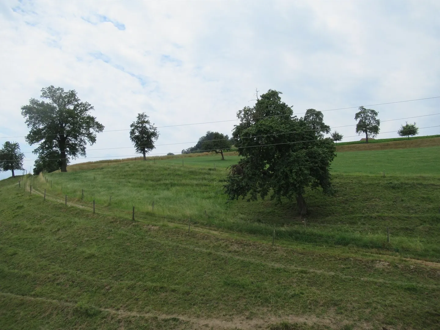 Unique living experience in idyllic surroundings - Photo 8 of 8