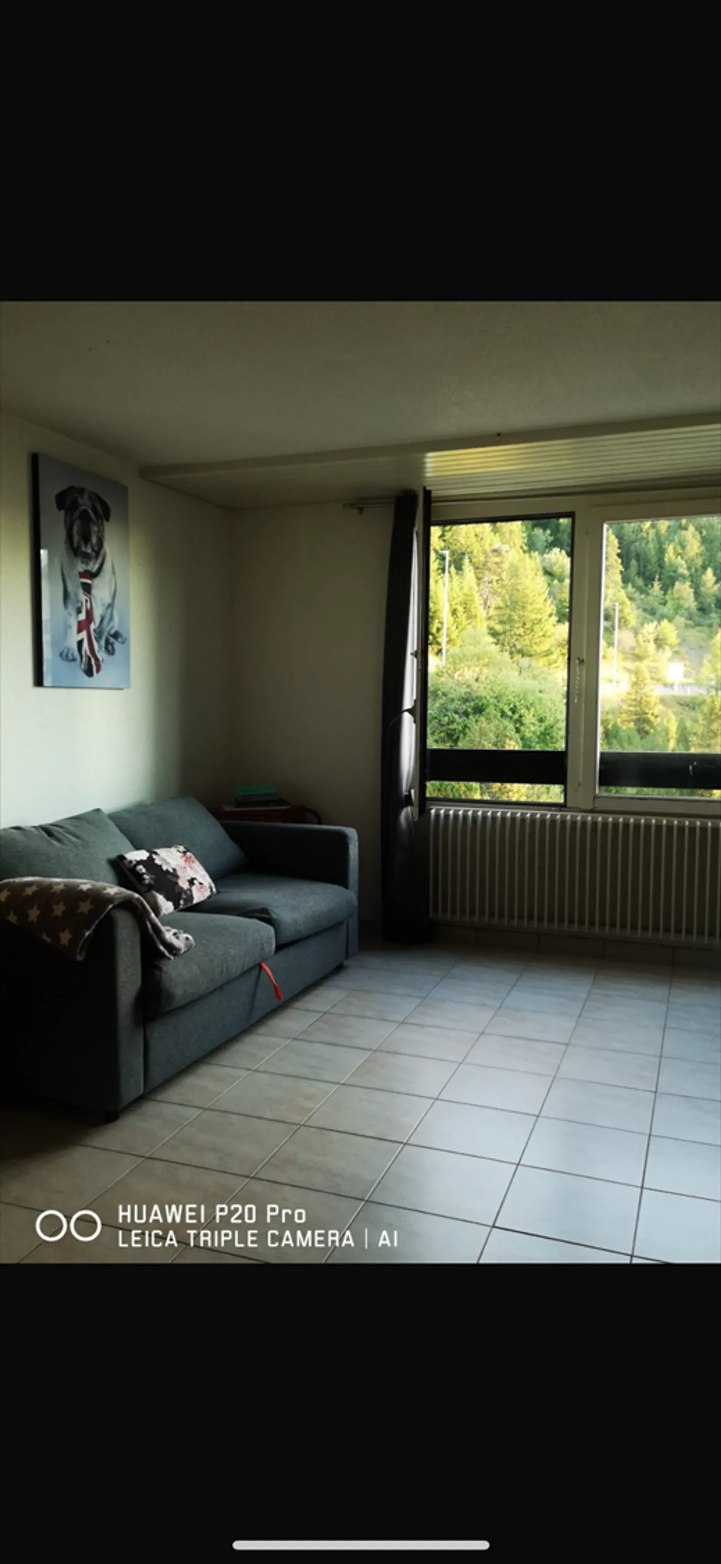 Appartement 1 pièce - Photo 2 sur 3