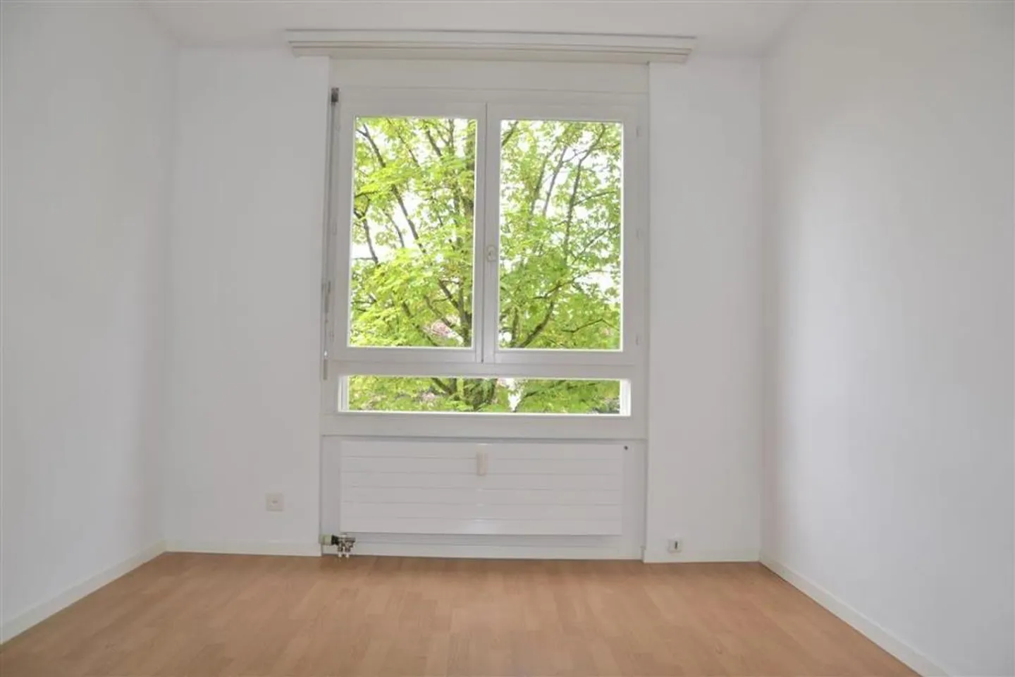 Geräumige 5.5-Zimmerwohnung - Foto 9 von 11
