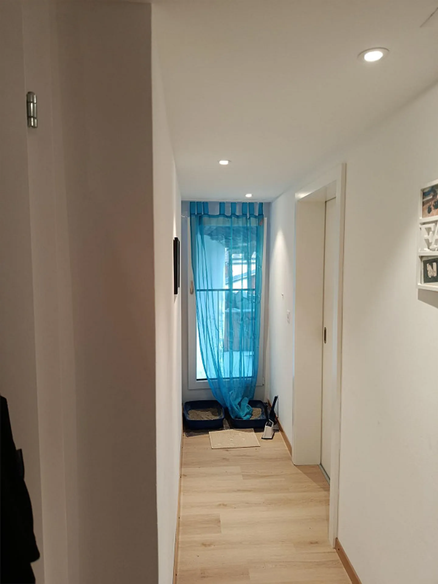 Appartamento 4,5 stanze completamente ristrutturato in affitto - Foto 2 di 8