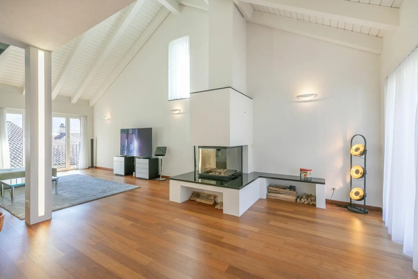 Modern Single-Family Home in Slightly Elevated Location - Photo 3 of 17