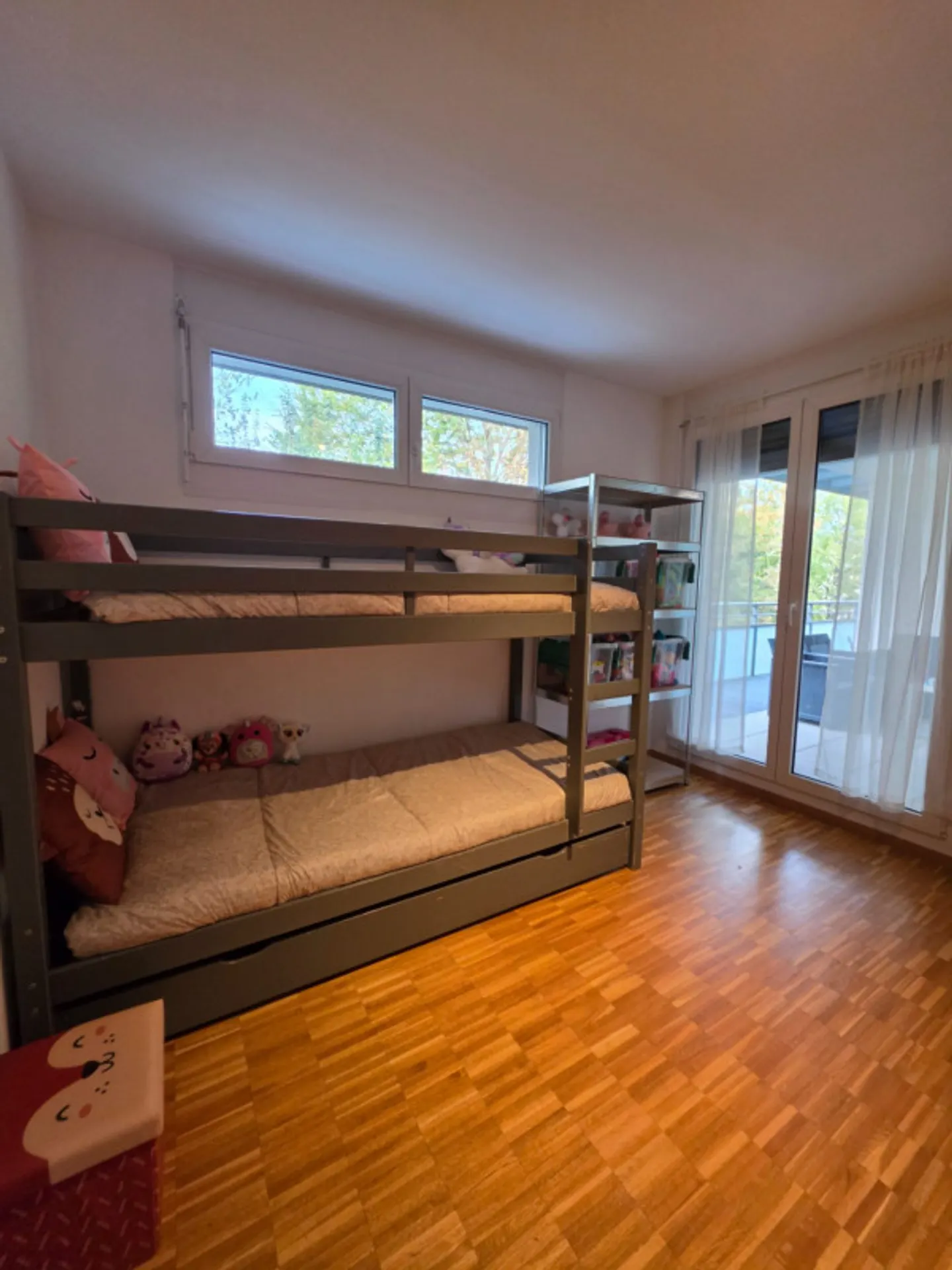 SUPERB FURNISHED 4-ROOM APARTMENT IN VERSOIX - Photo 7 of 9