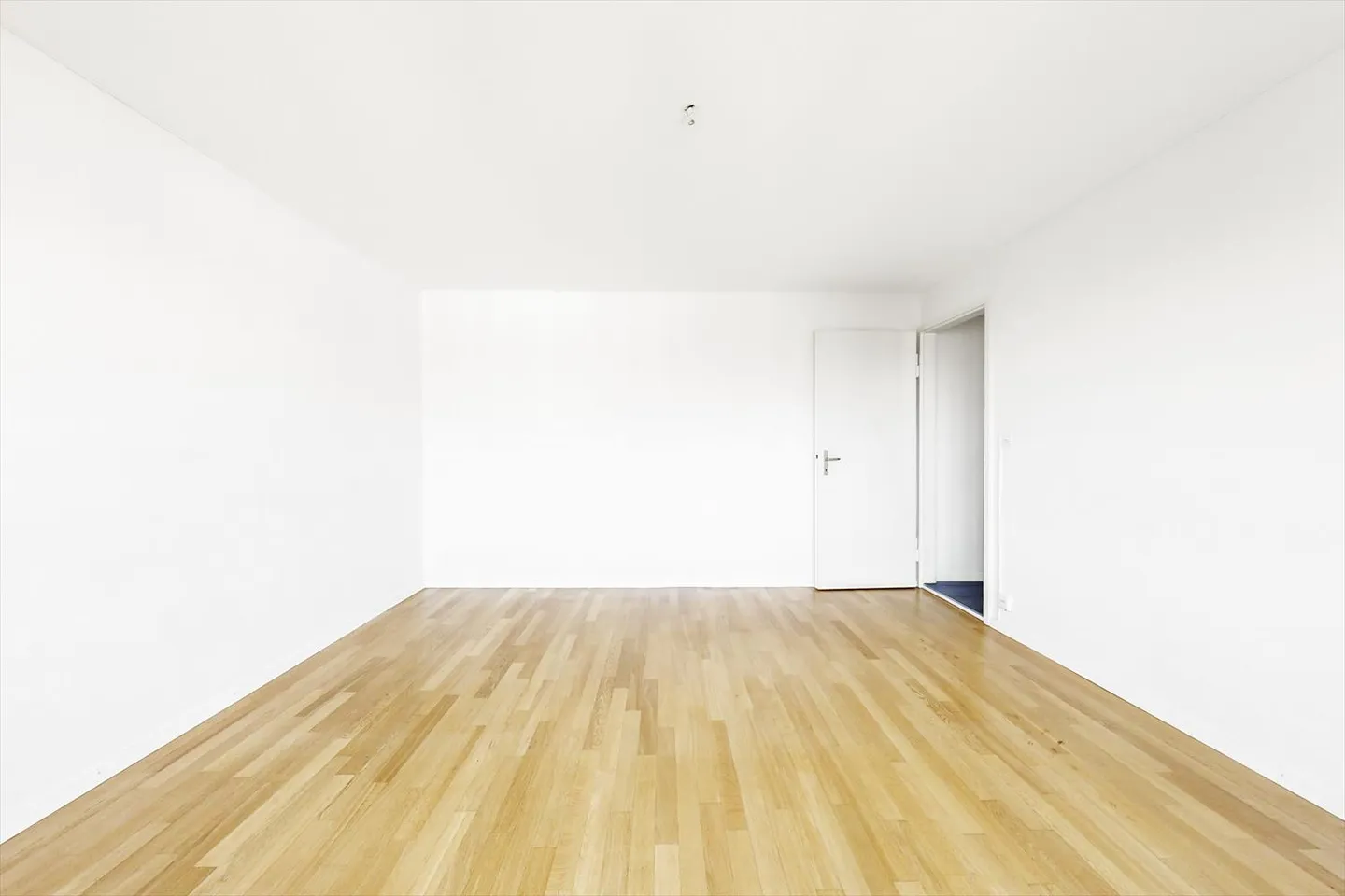 Appartamento 2 locali - Foto 4 di 6