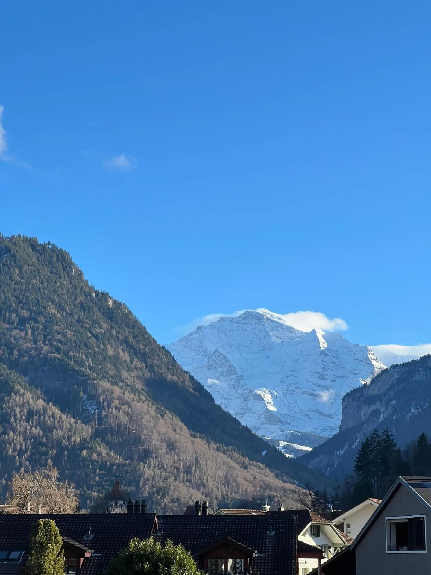 Vivre à Gruebi - Photo 15 sur 19