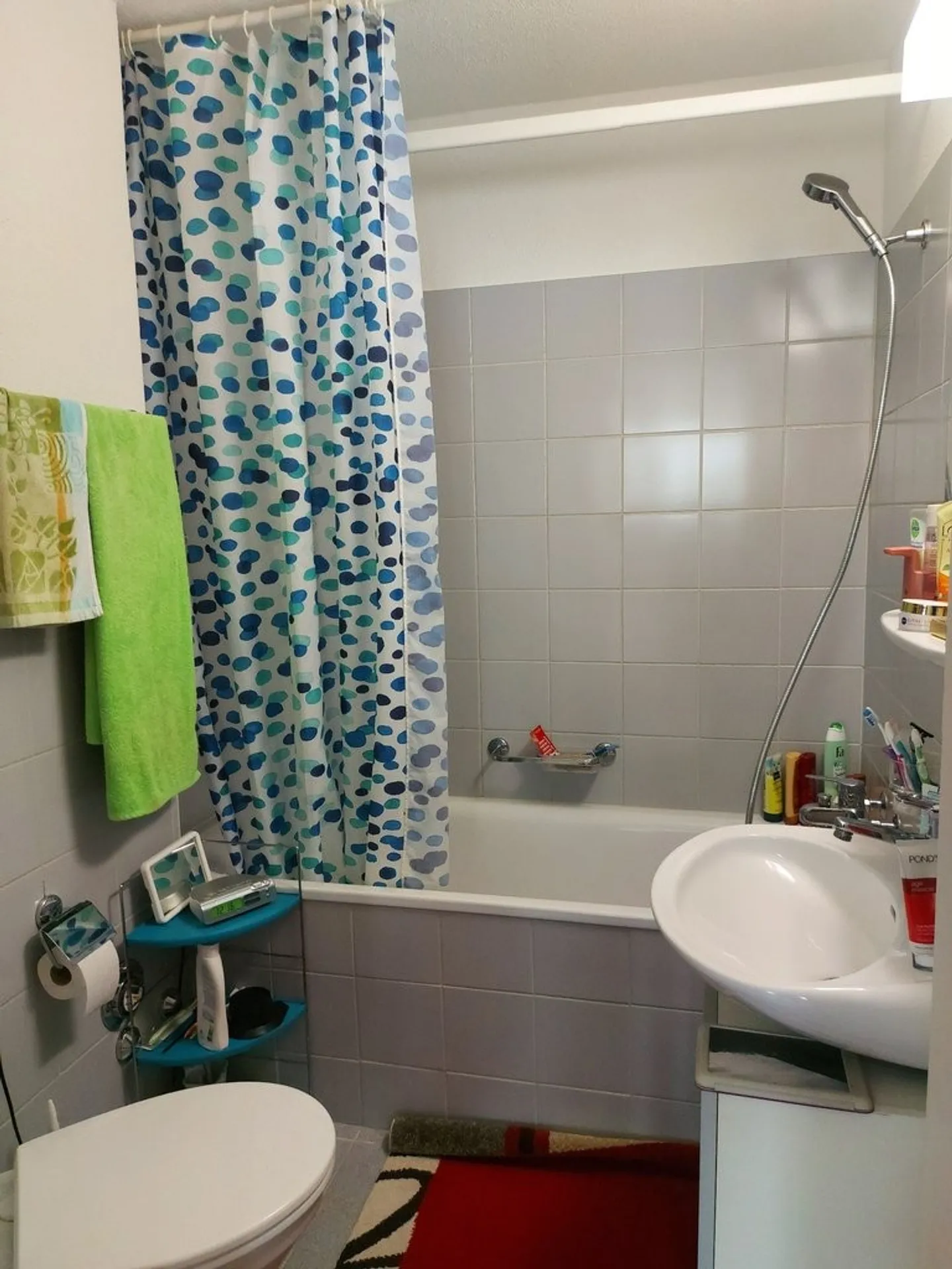 Appartamento in affitto - Foto 5 di 6