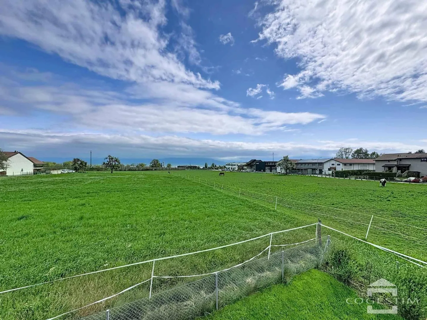 3.5 Room Apartment - Photo 9 of 9