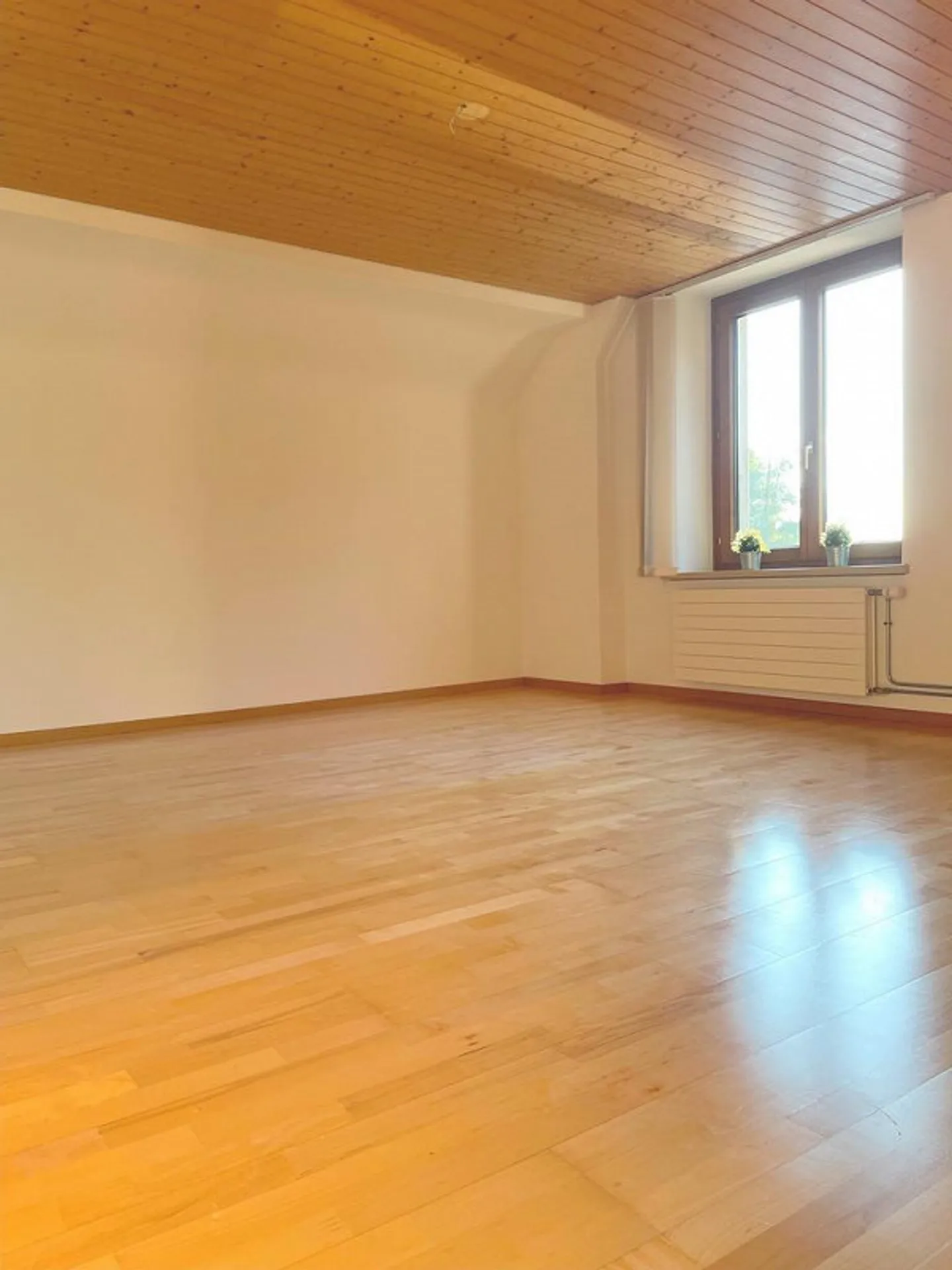 Charming living directly on the Birs - Photo 3 of 8